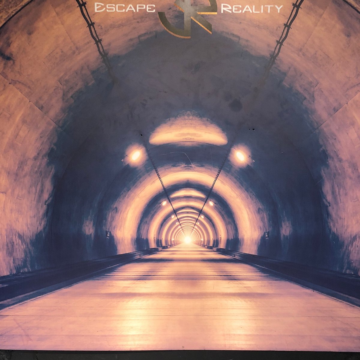 Escape Reality You Need to Know BEFORE You Go (with Reviews)