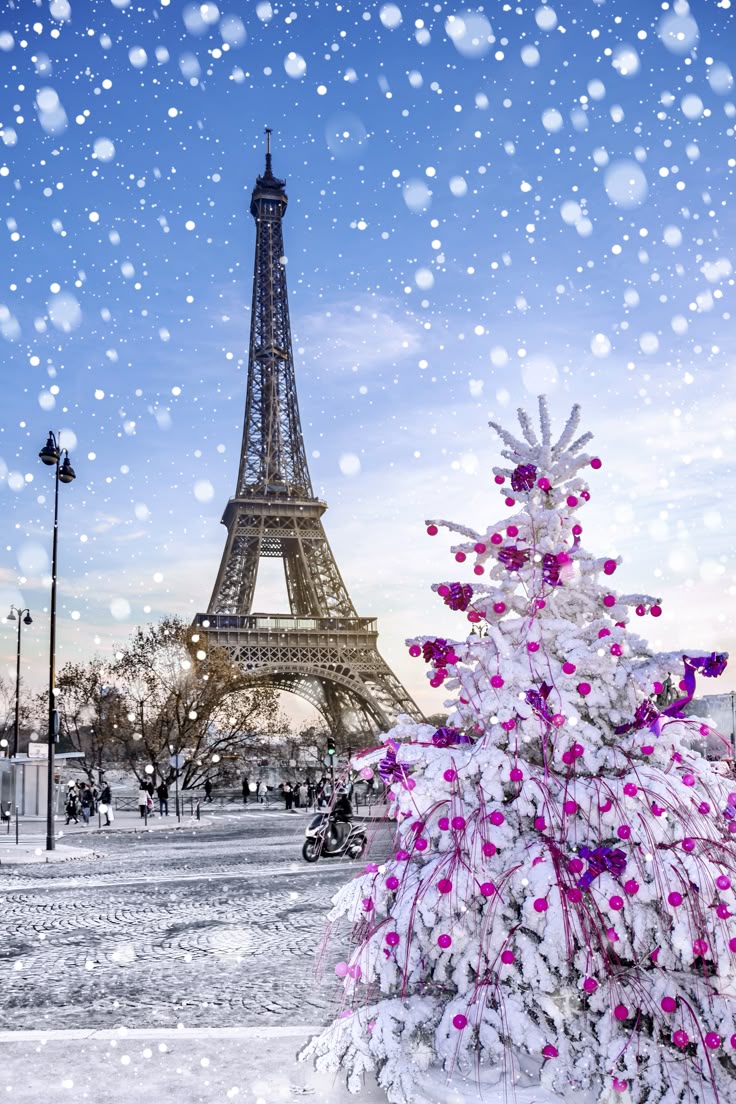 Best Things To Do In Paris In Winter