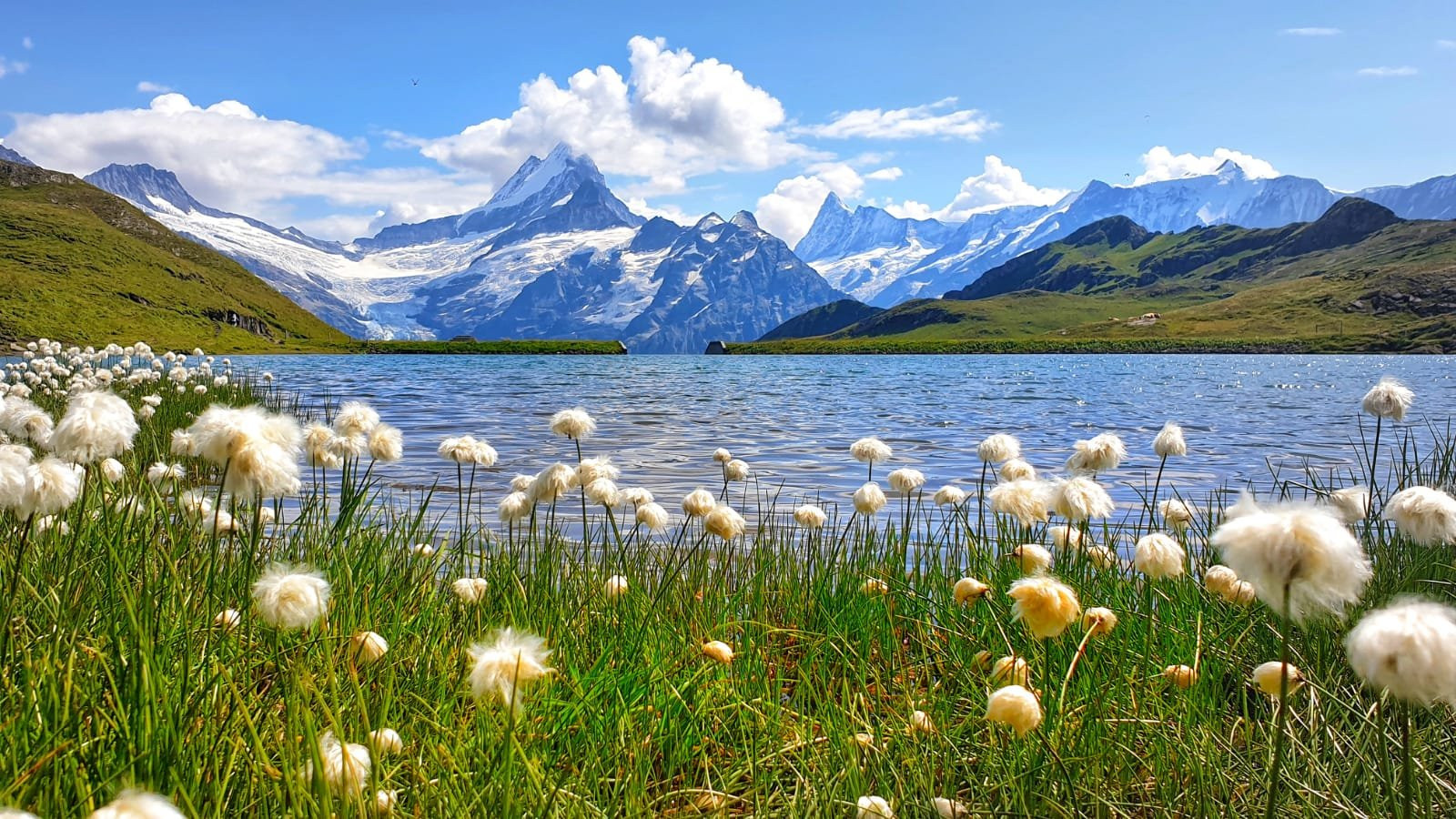 Lake Bachalpsee Switzerland HD Desktop Wallpaper 114665