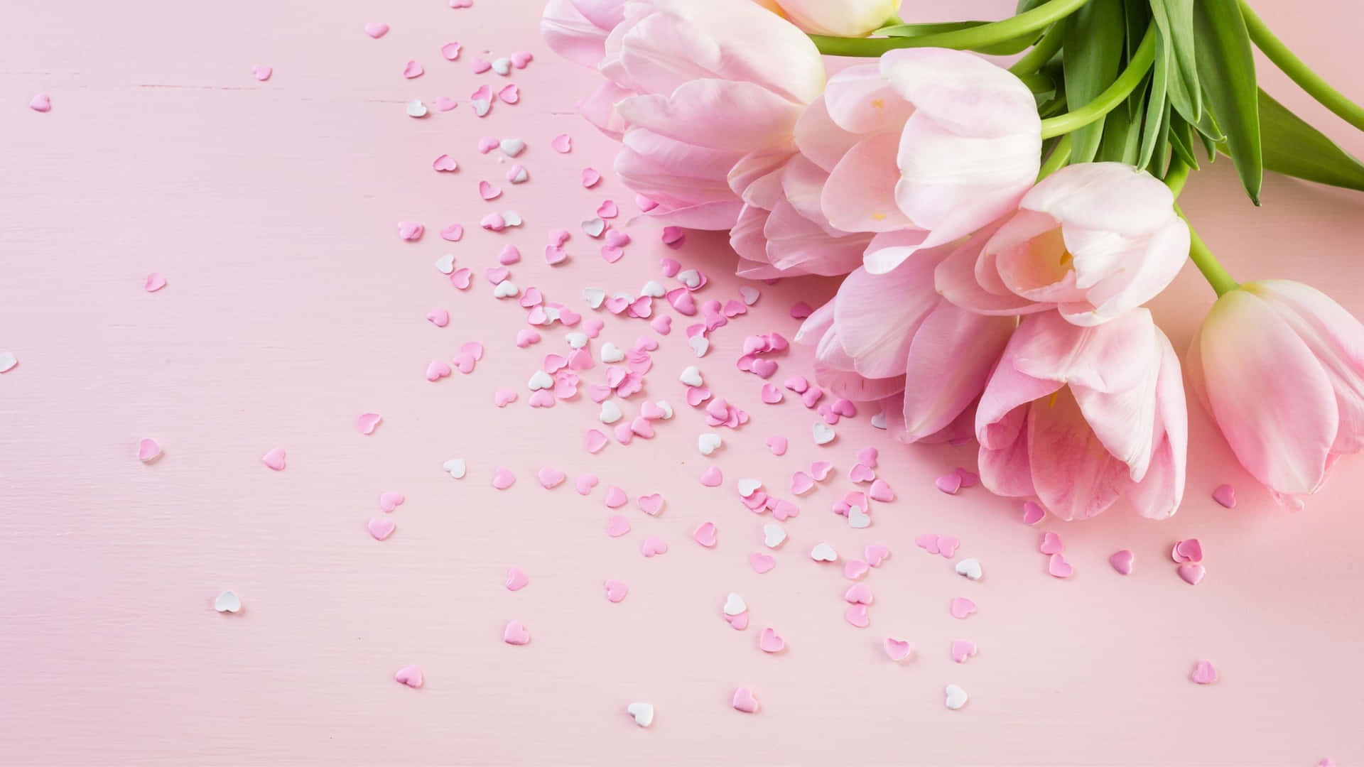 Download Aesthetic Computer Light Pink Flowers Wallpaper