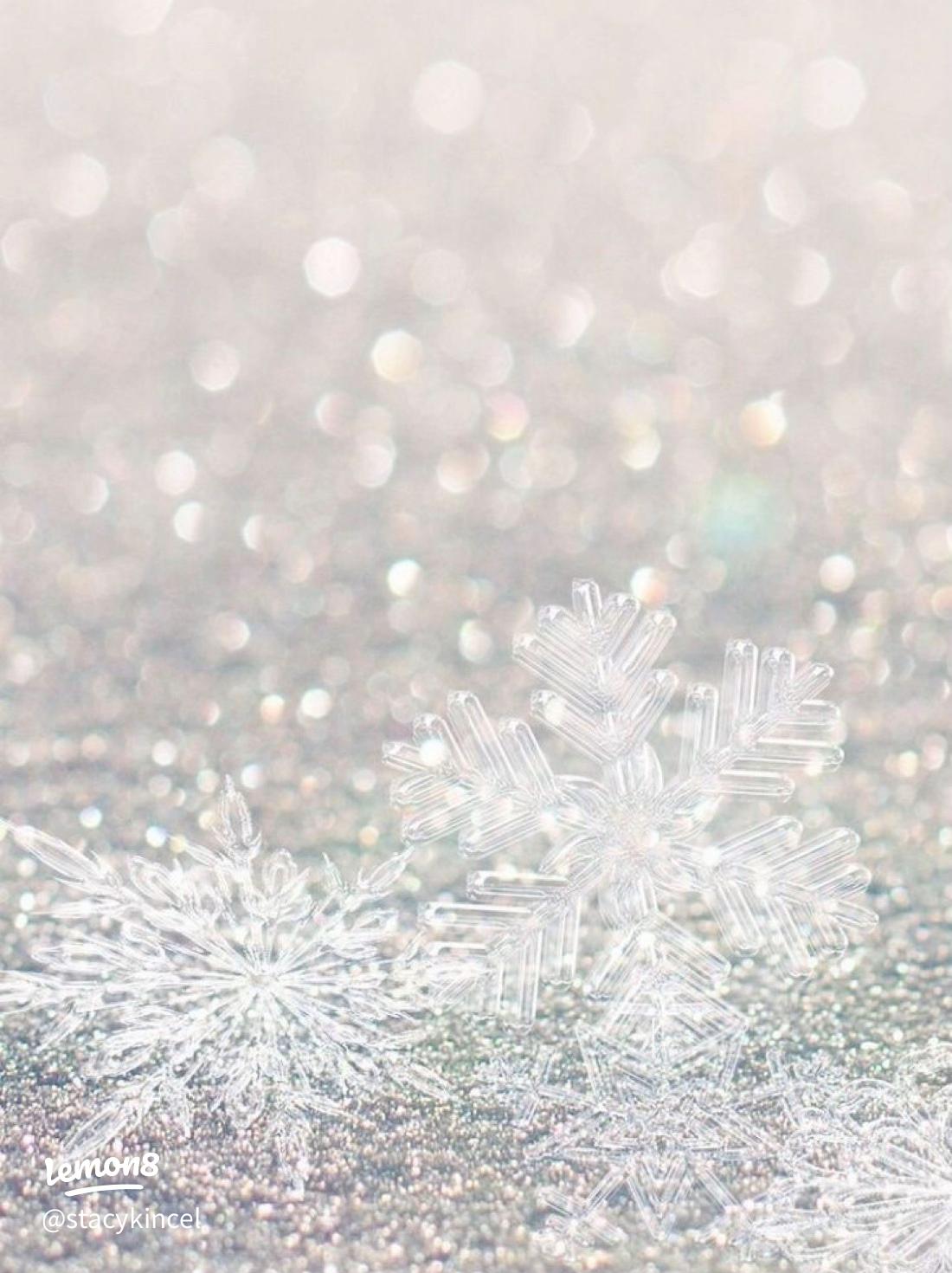 Charming Winter Wallpaper to Transform Your Space ❄️