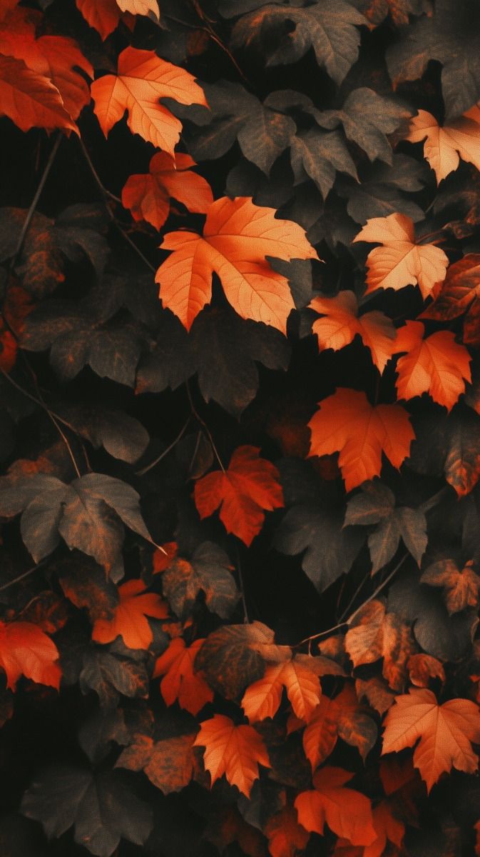 Fall Wallpaper Aesthetic