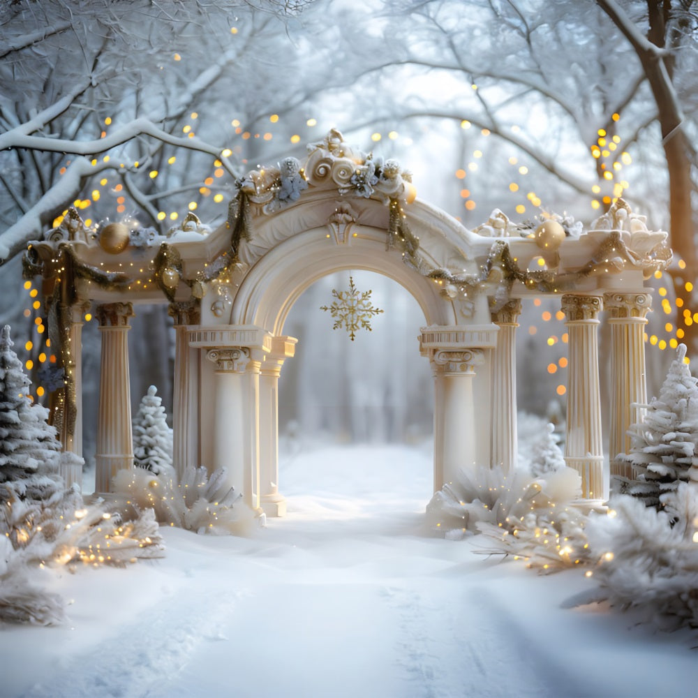 Christmas Elegant Archway With Snowflake Backdrop RR7 614