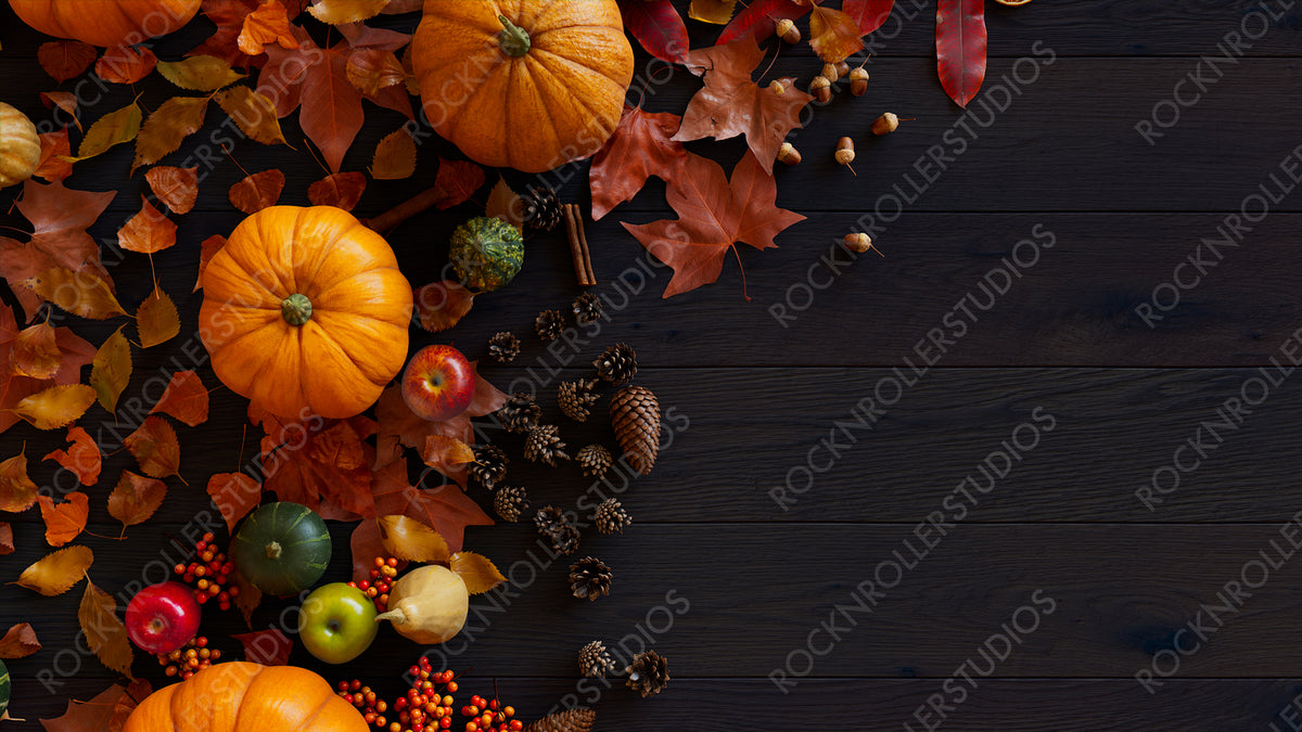 Thanksgiving Wallpaper with Fall leaves, Gourds and Acorns on a Dark w