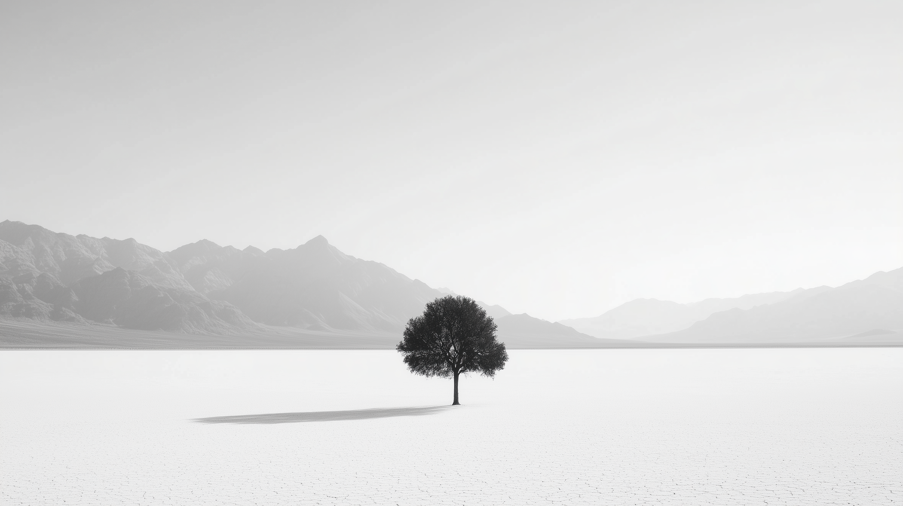 Black and White Wallpaper Download HD & 4K