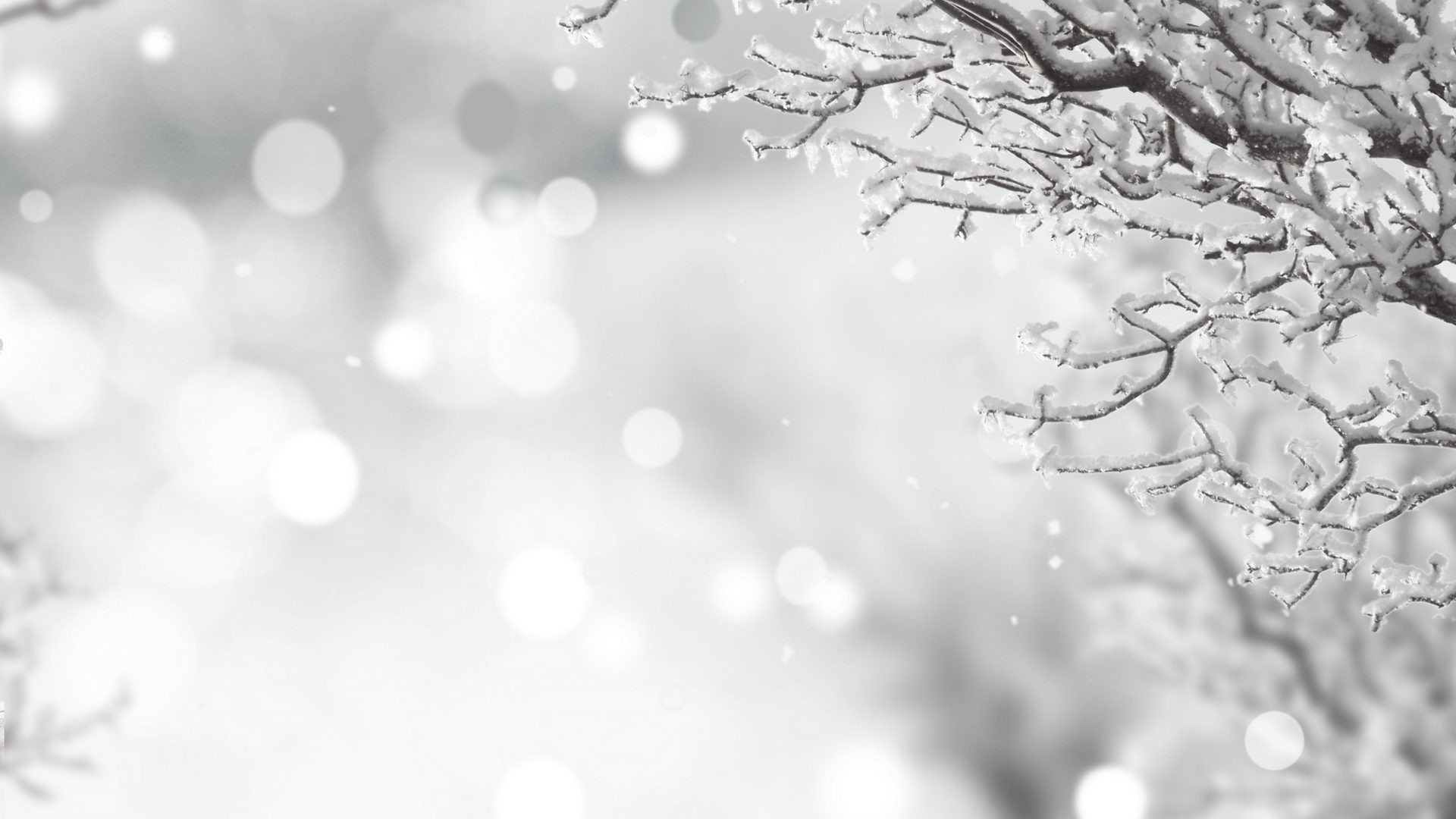 Snowy Christmas Wallpaper
