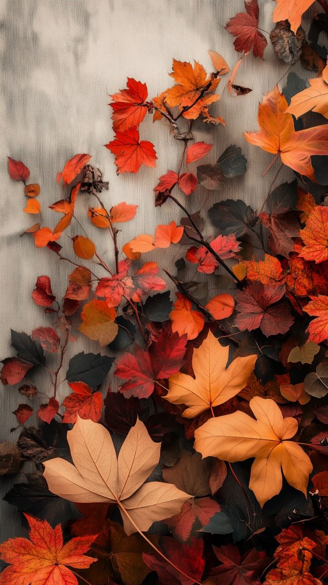 Fall Background Wallpaper