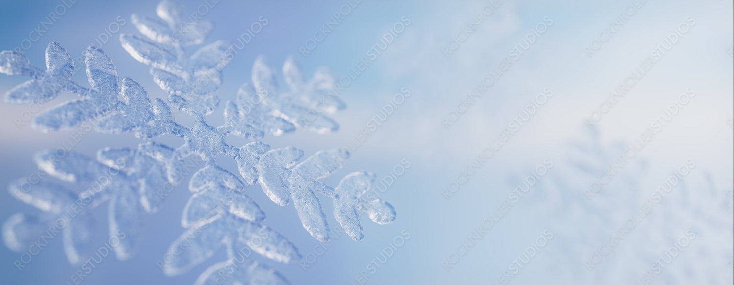 Elegant Christmas Wallpaper with Frosty Snowflake. Seasonal Banner wit