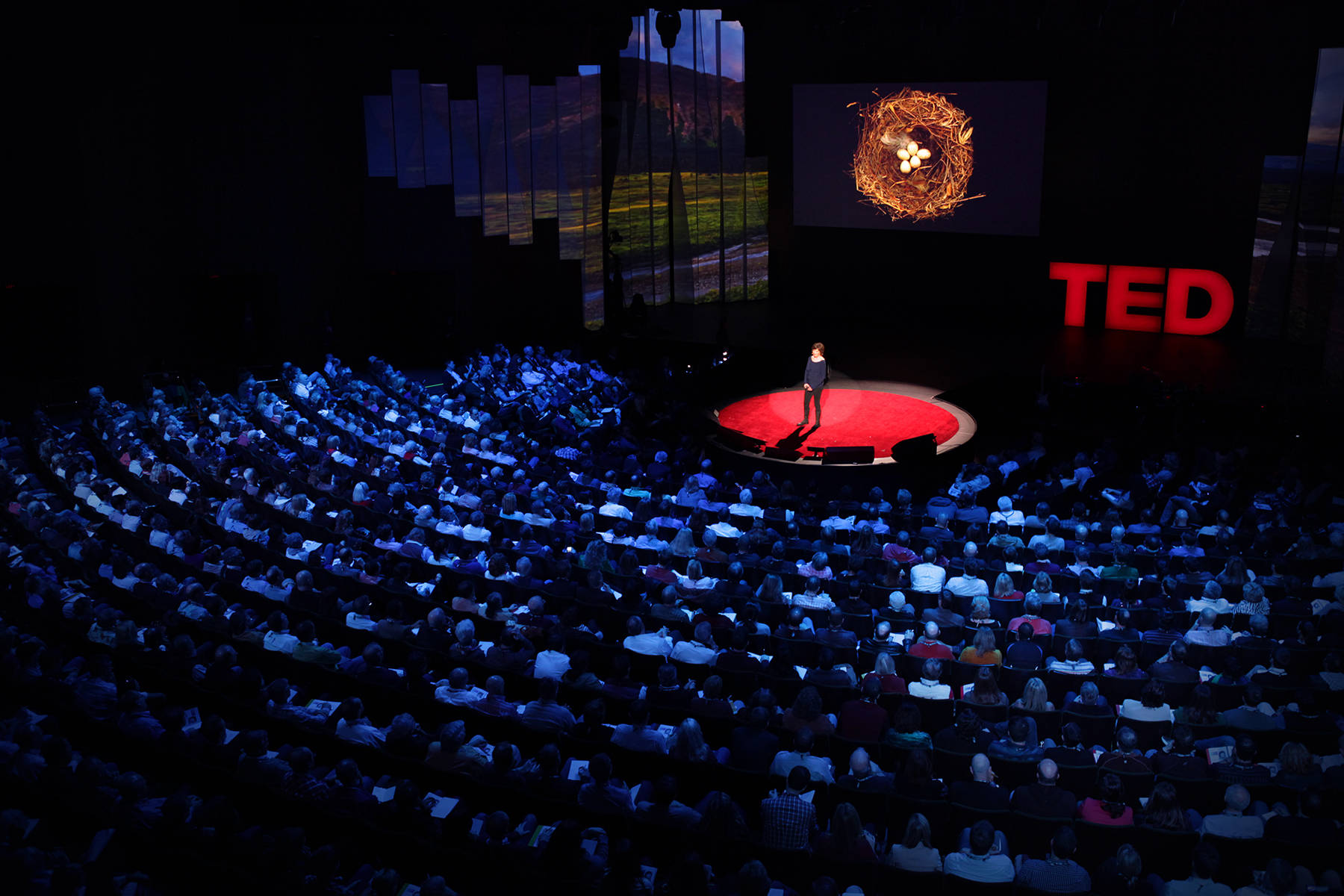 Download Tedx Talks Spotlight Wallpaper