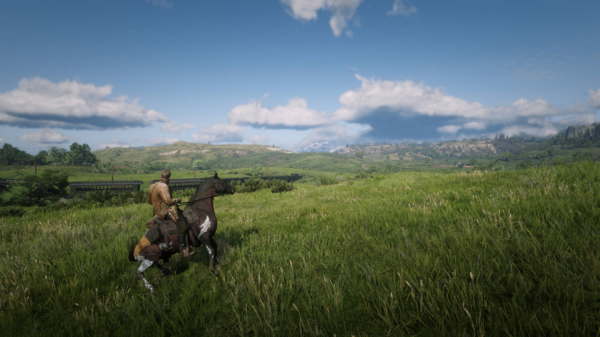 Download Red Dead Redemption 2 Desktop Grassland Wallpaper