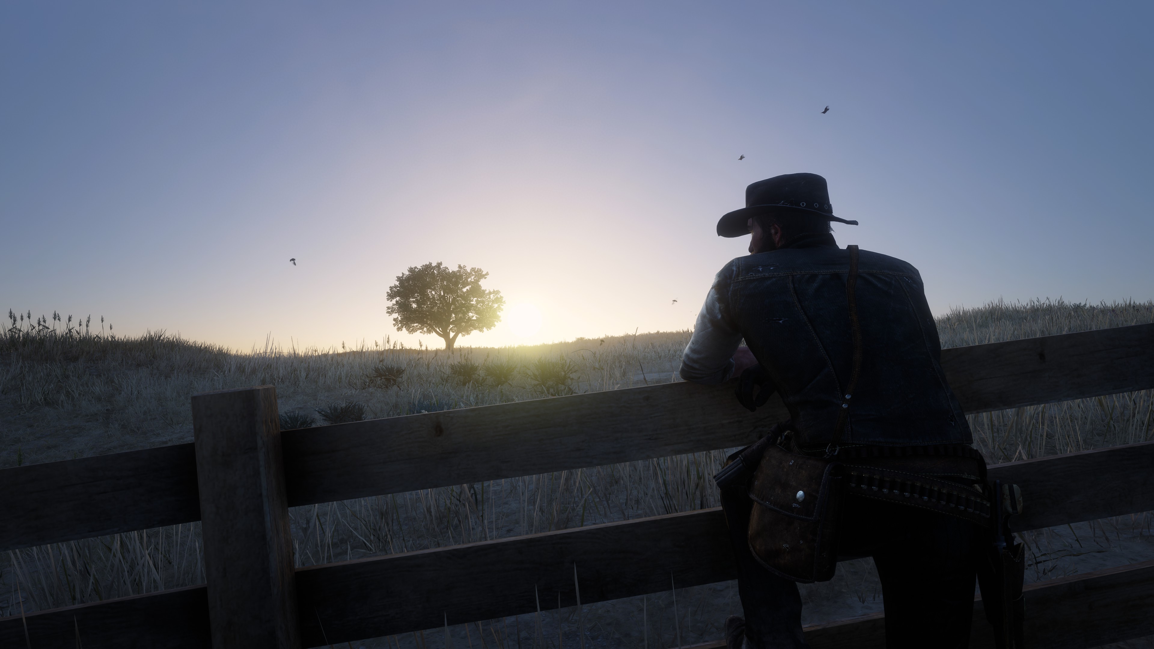 Some Screenshots i made in Red Dead Redemption 2 (4k)