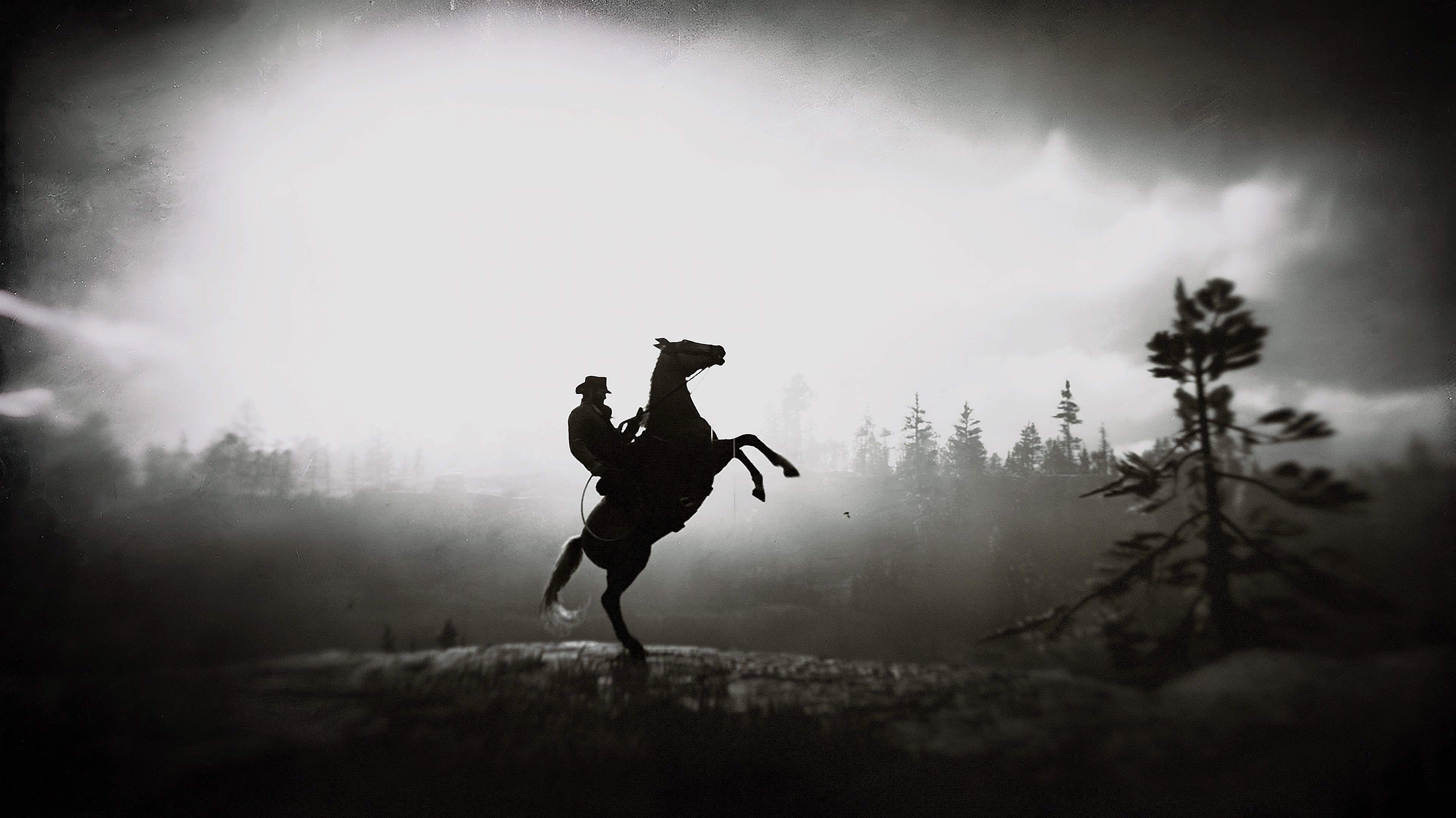 Horse backlit silhouette, Red Dead Redemption Wallpaper 4k for Desktop