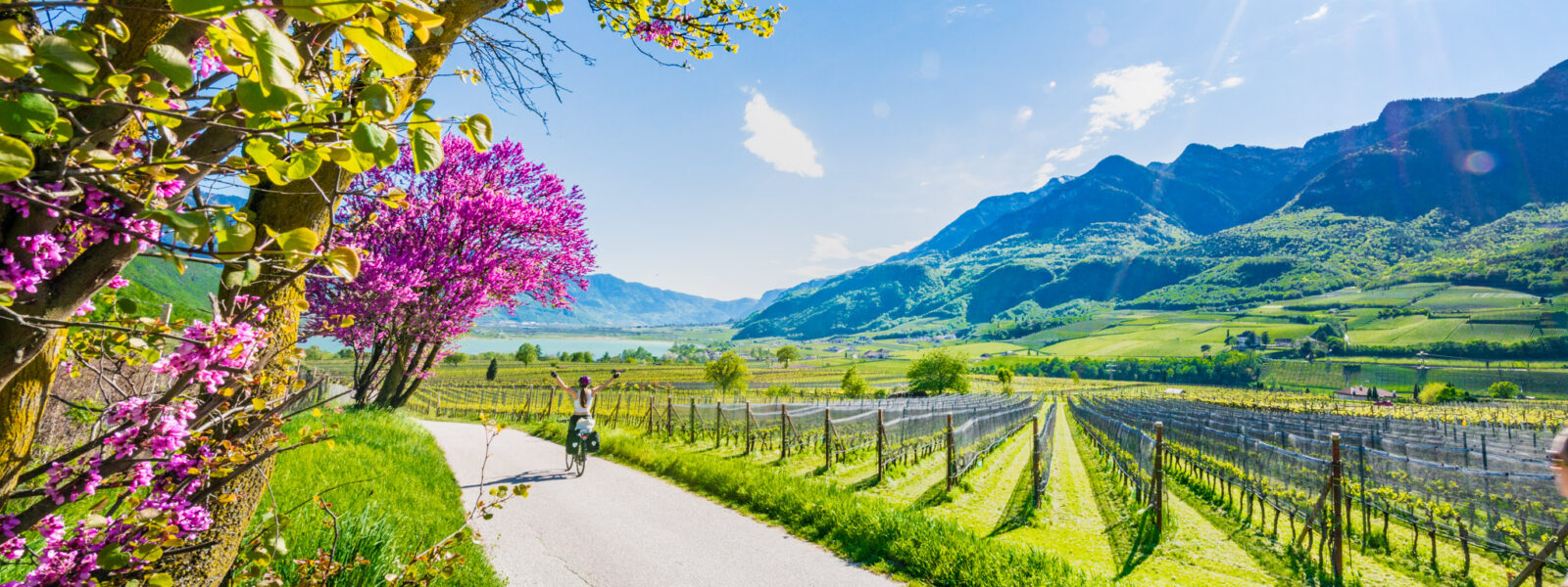 Gourmet cycling tours around Lake Kaltern