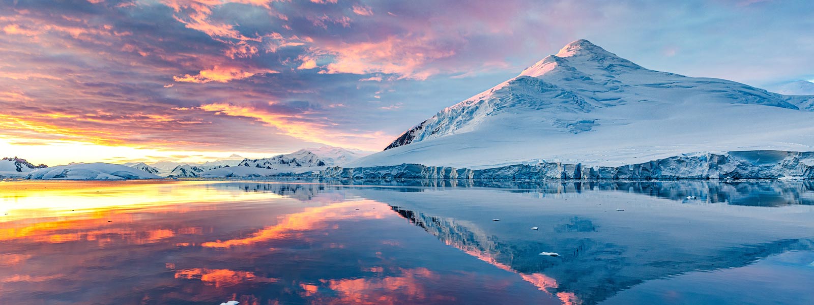 Emblematic Antarctica