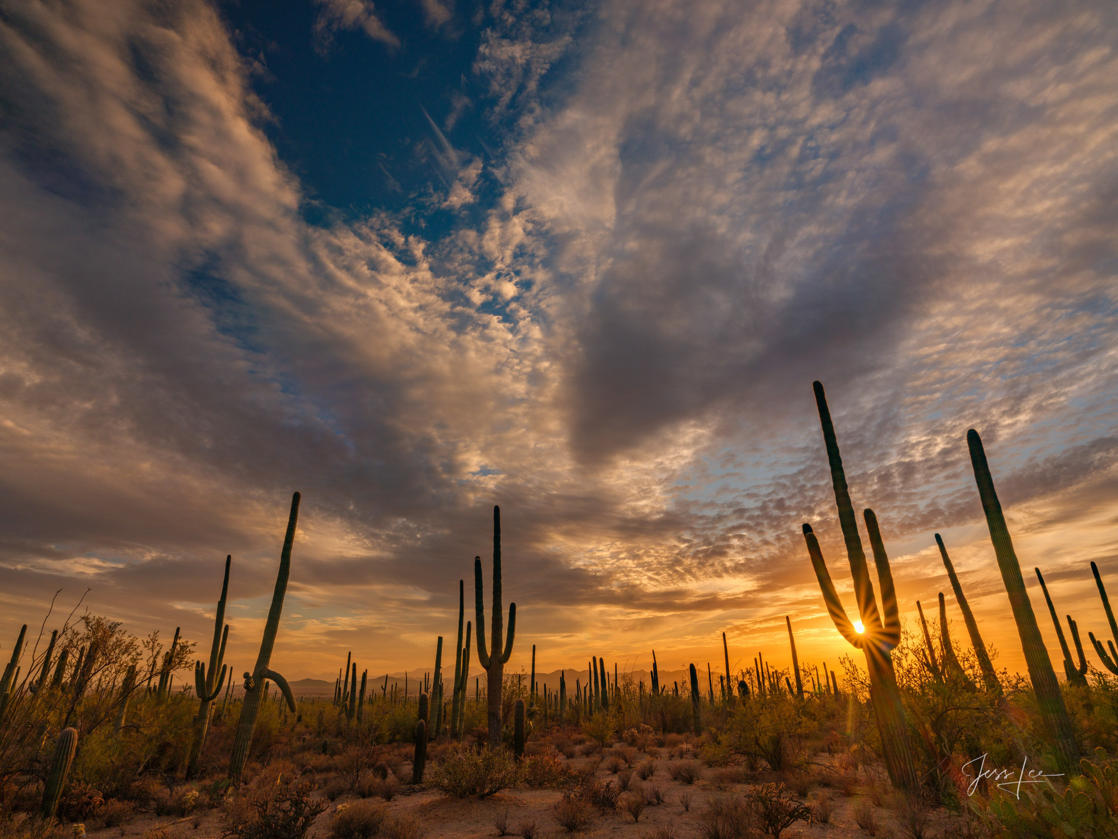 Desert Photo of Beautiful Locations. Large Format Prints