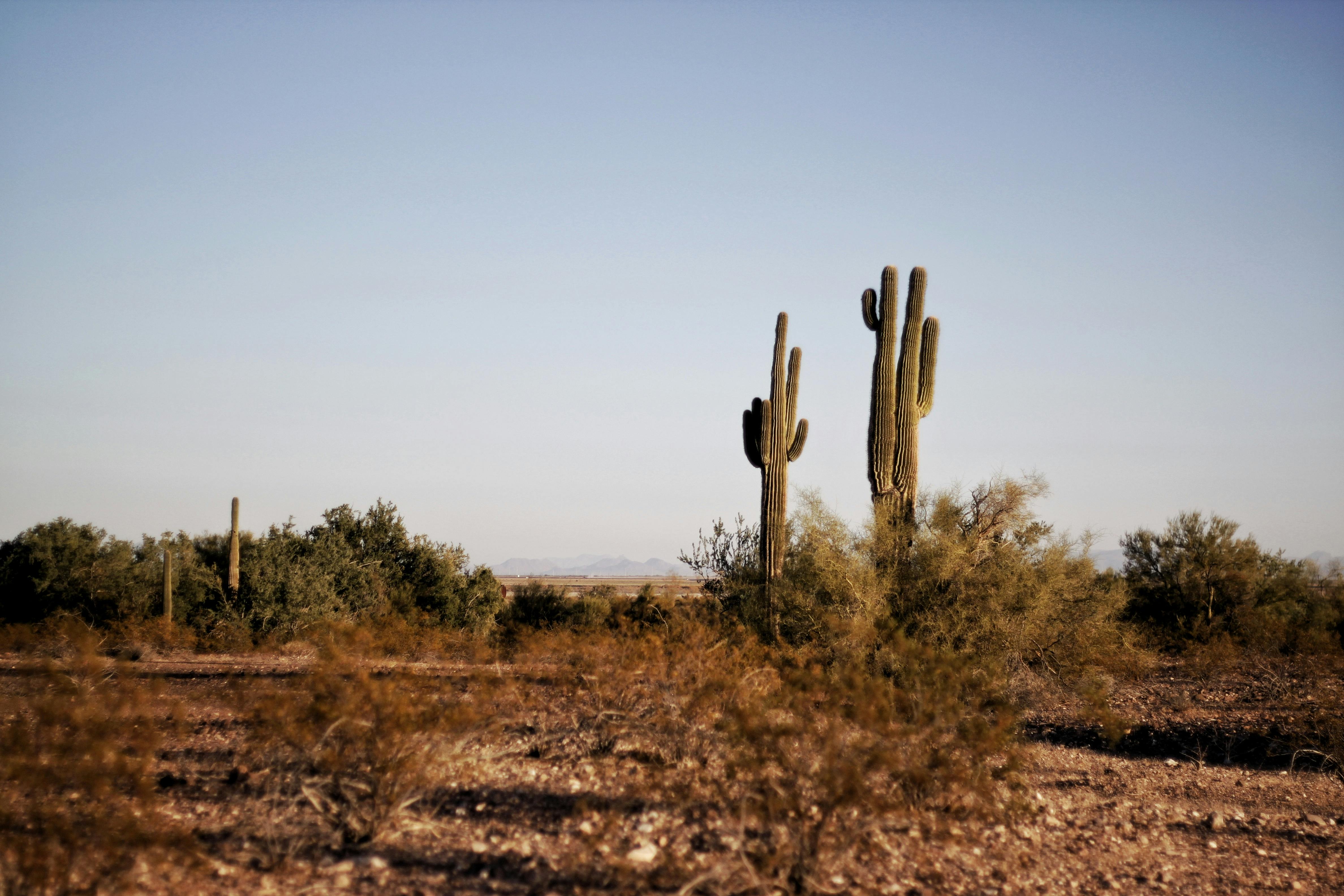 Arizona Desert Photo, Download The BEST Free Arizona Desert & HD Image