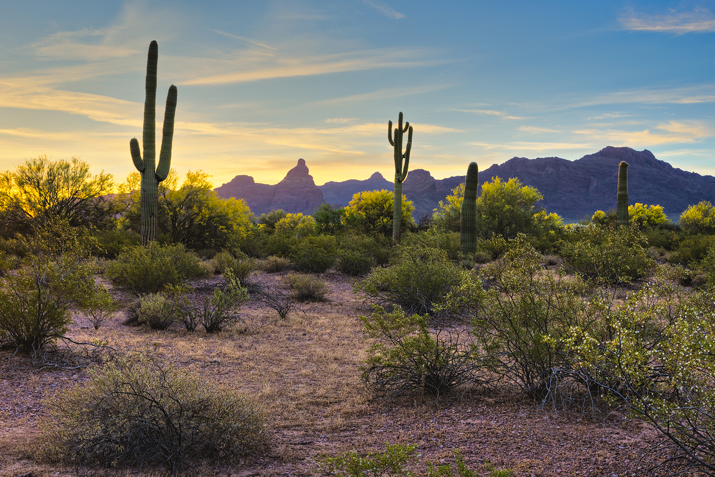 Desert Dawn. Jorn Olsen Photography