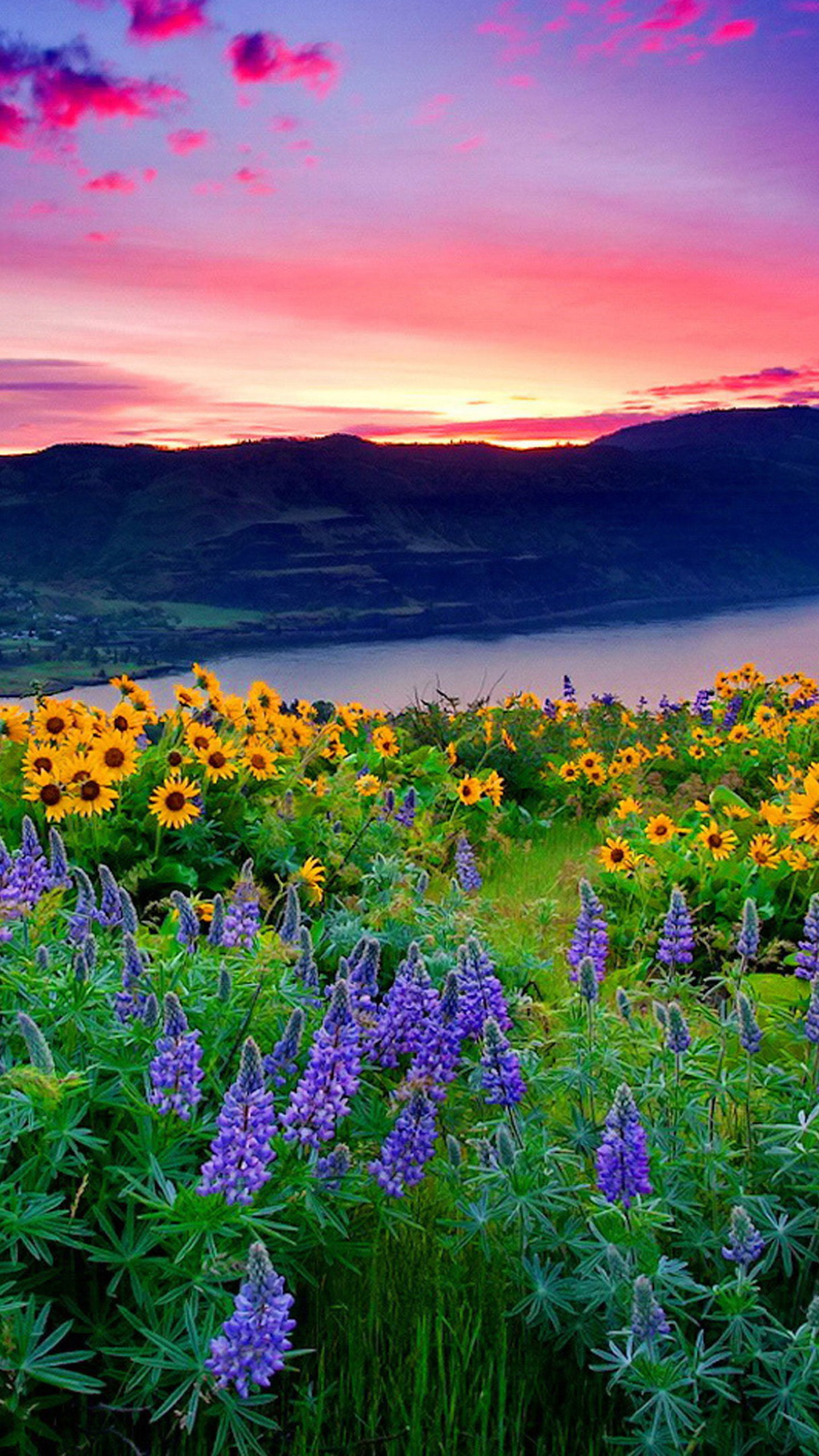 Landscape Of Yellow Flowers And Blue Mountain Lake Hills Under Red Cloud Sunset 4K HD Nature Wallpaper