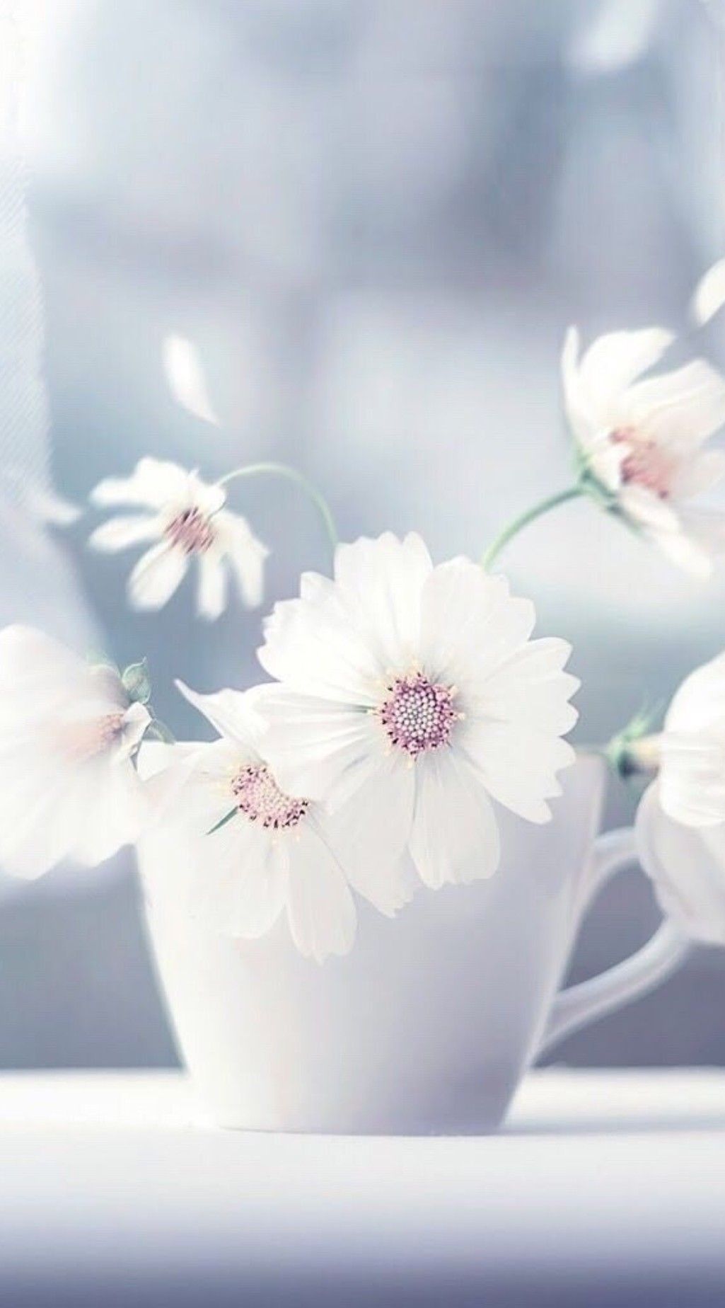 Nature Flowers iPhone Wallpaper, HD Nature Flowers iPhone Background on WallpaperBat