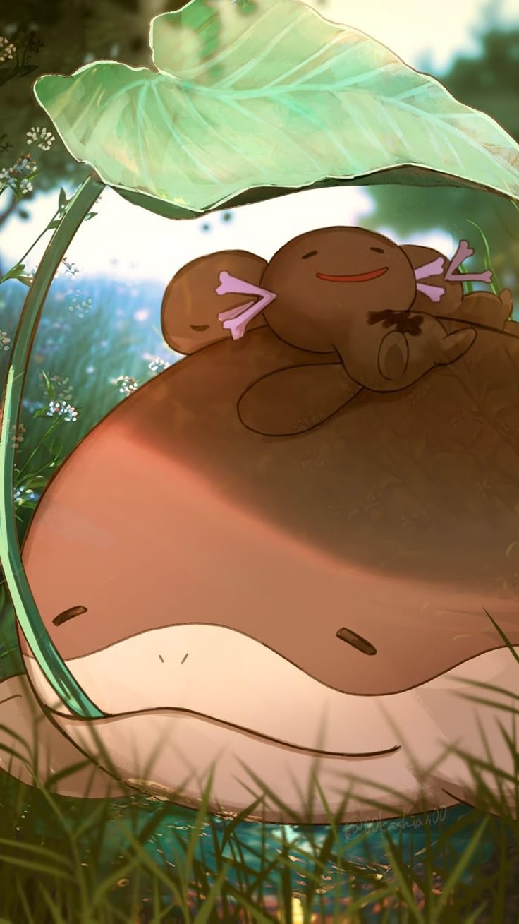 Clodsire and Paldean Wooper pokemon