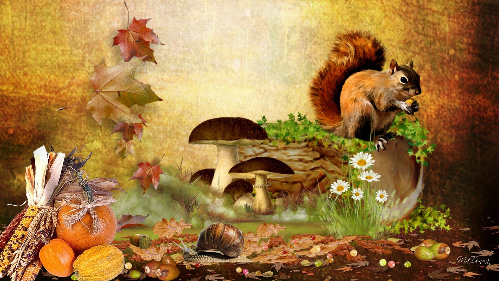 Wildlife Fall Desktop Wallpaper, HD Wildlife Fall Desktop Background on WallpaperBat