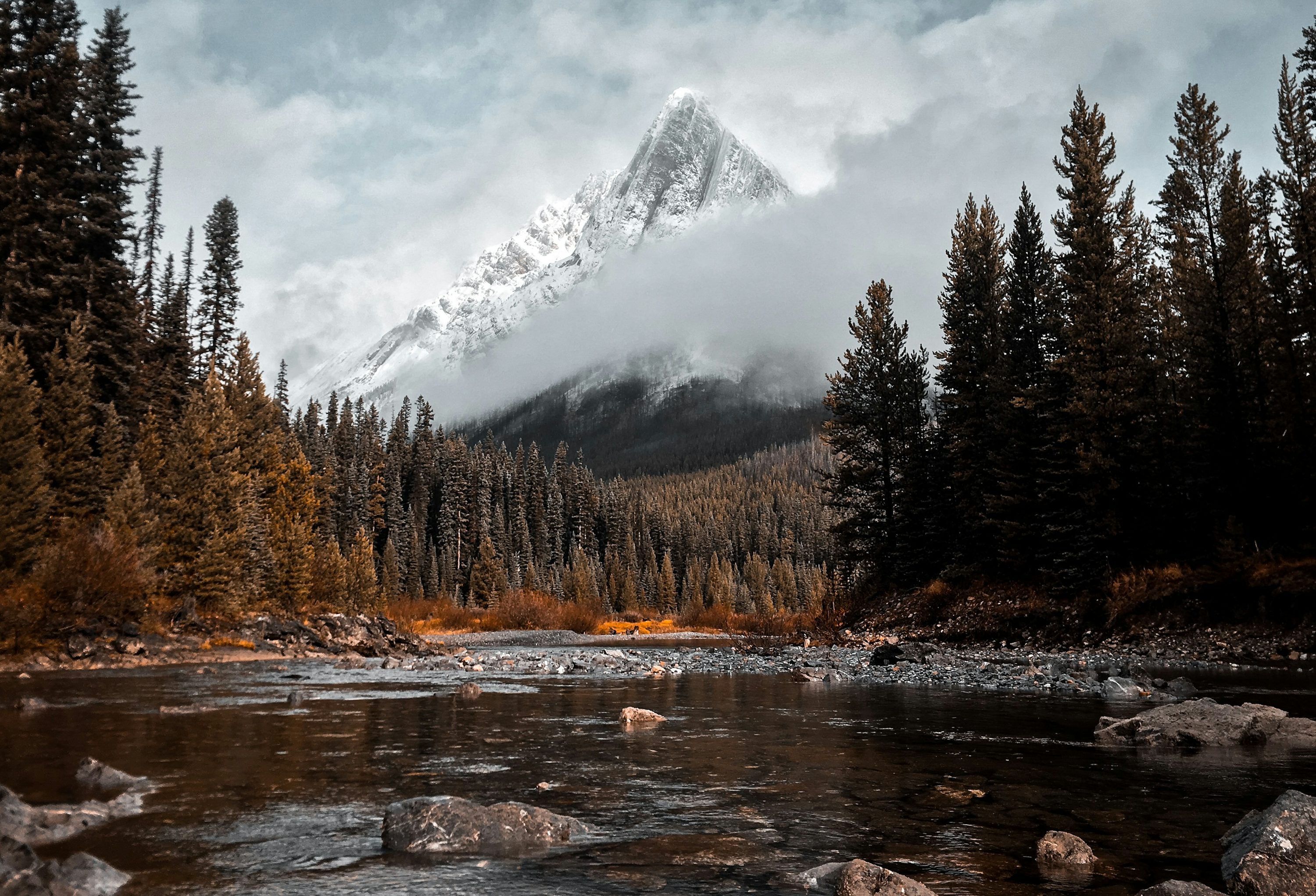 Autumn Wallpaper: Free HD Download [4K]