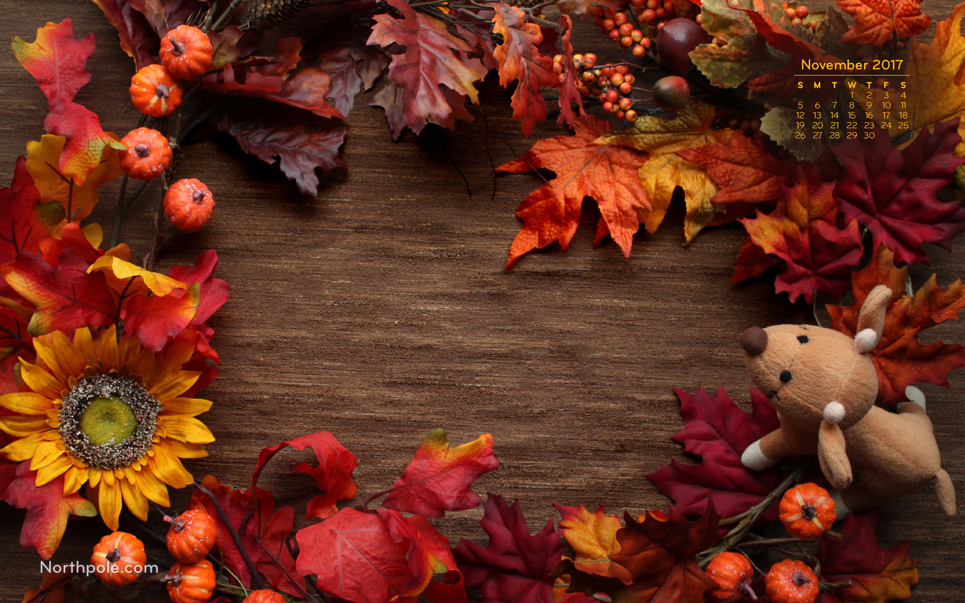 Free Wallpaper: Temperatures Falling, Anticipation Rising