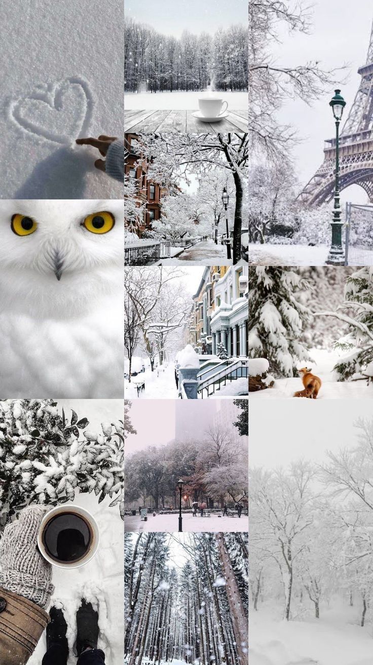 Aesthetic Winter Wallpaper