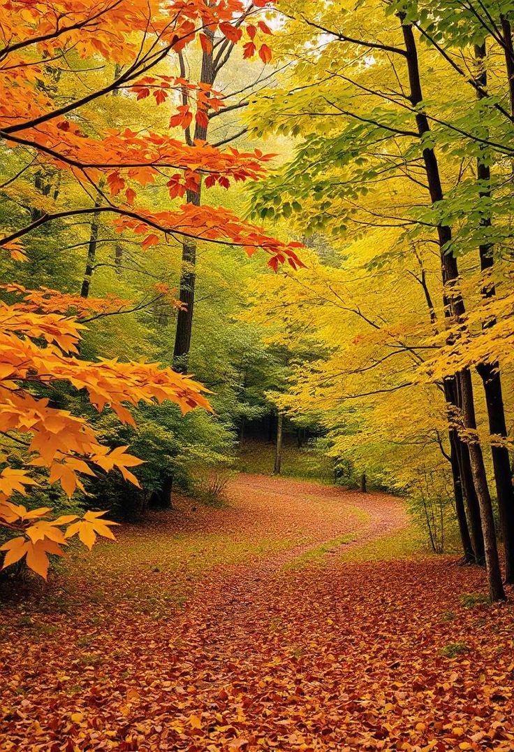 Very beautiful nature Fall Wallpaper