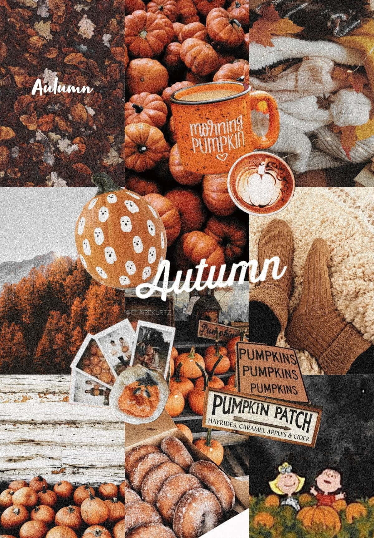 Download Fall Collage And Pumpkin Patches Wallpaper