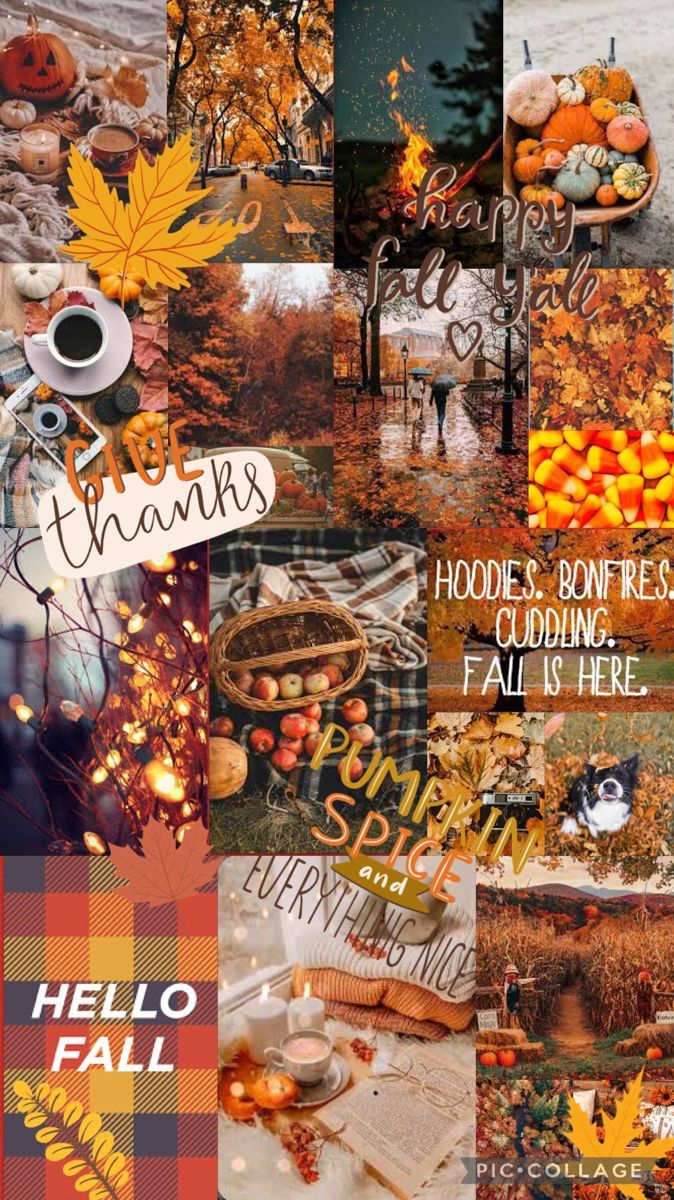 Cute fall wallpaper