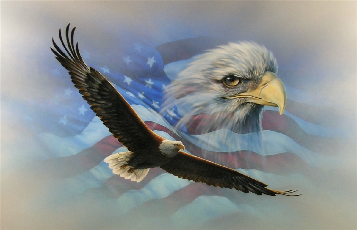 American Flag Soaring Bald Eagle Wall RV motorhome Or Graphic Decal