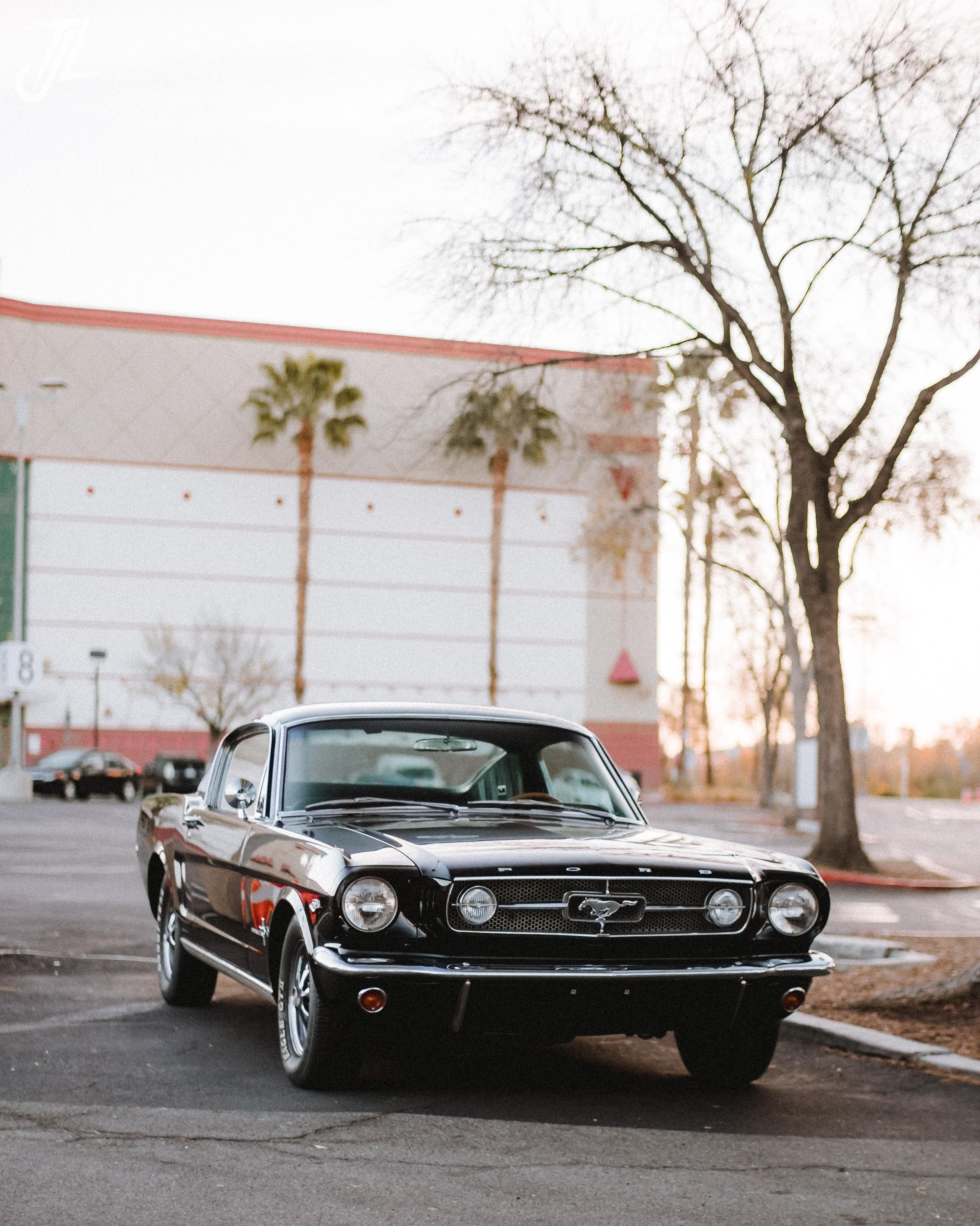 Mid 1960s Ford Mustang Fastback [OC] [2850x3563]
