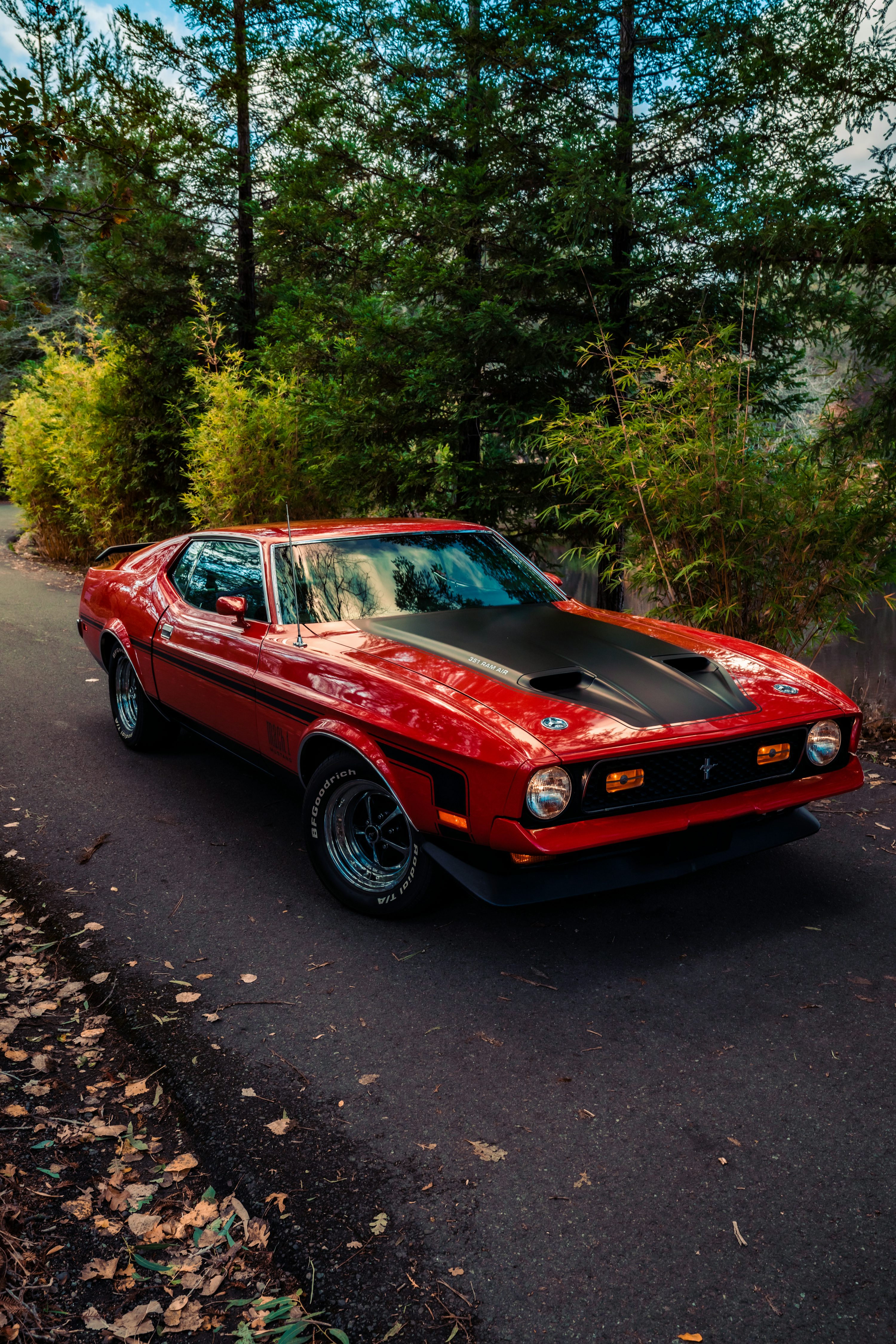 Old Mustang Picture. Download Free Image