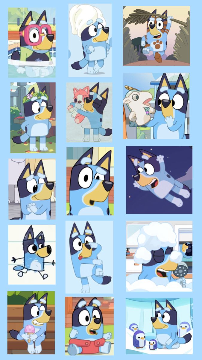 Bluey Collage:). First sewing projects, Bingo funny, Cute cartoon wallpaper