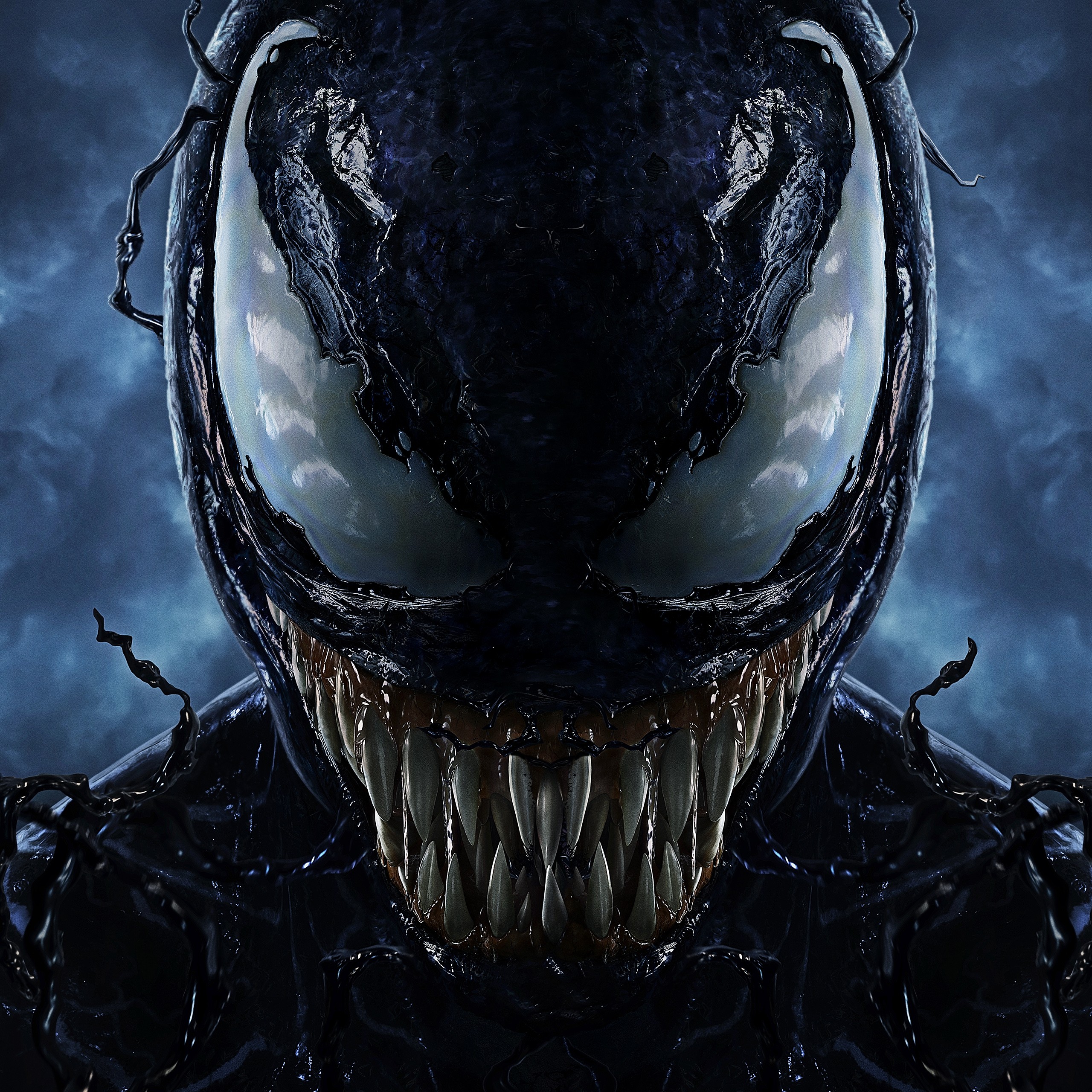 Venom 4K 8K Wallpaper