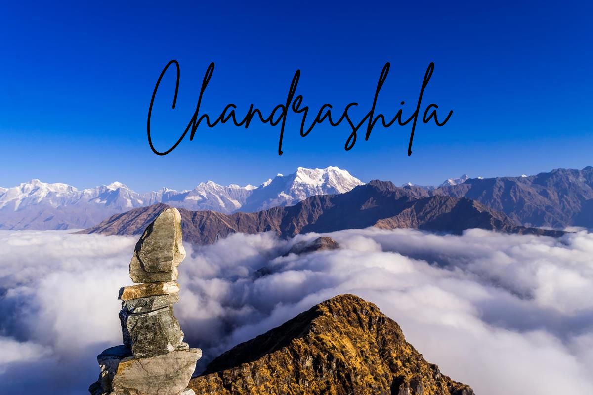 Chopta Chandrashila Trek Guide 2025