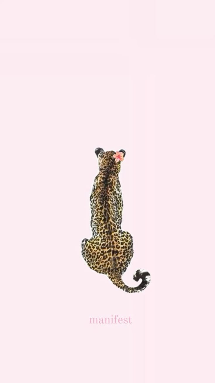 leopard wallpaper