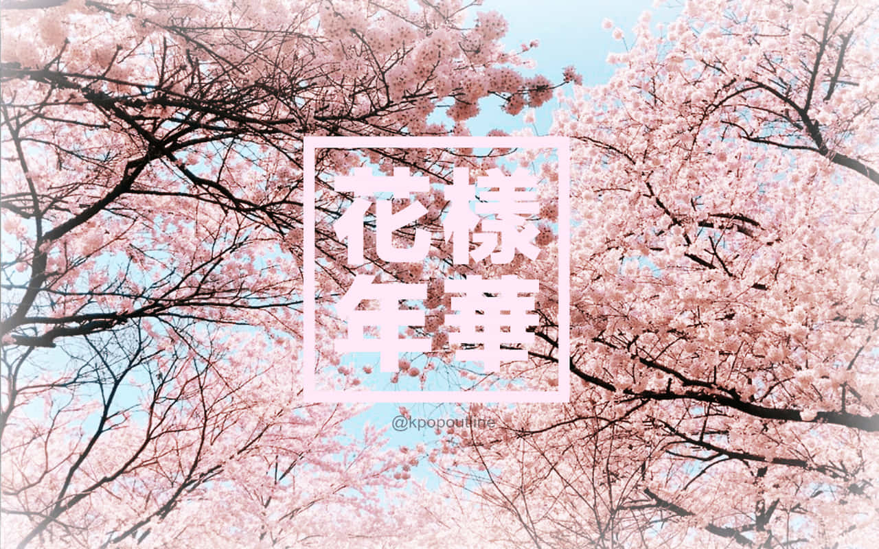 Bts Pink Aesthetic Desktop Wallpaper