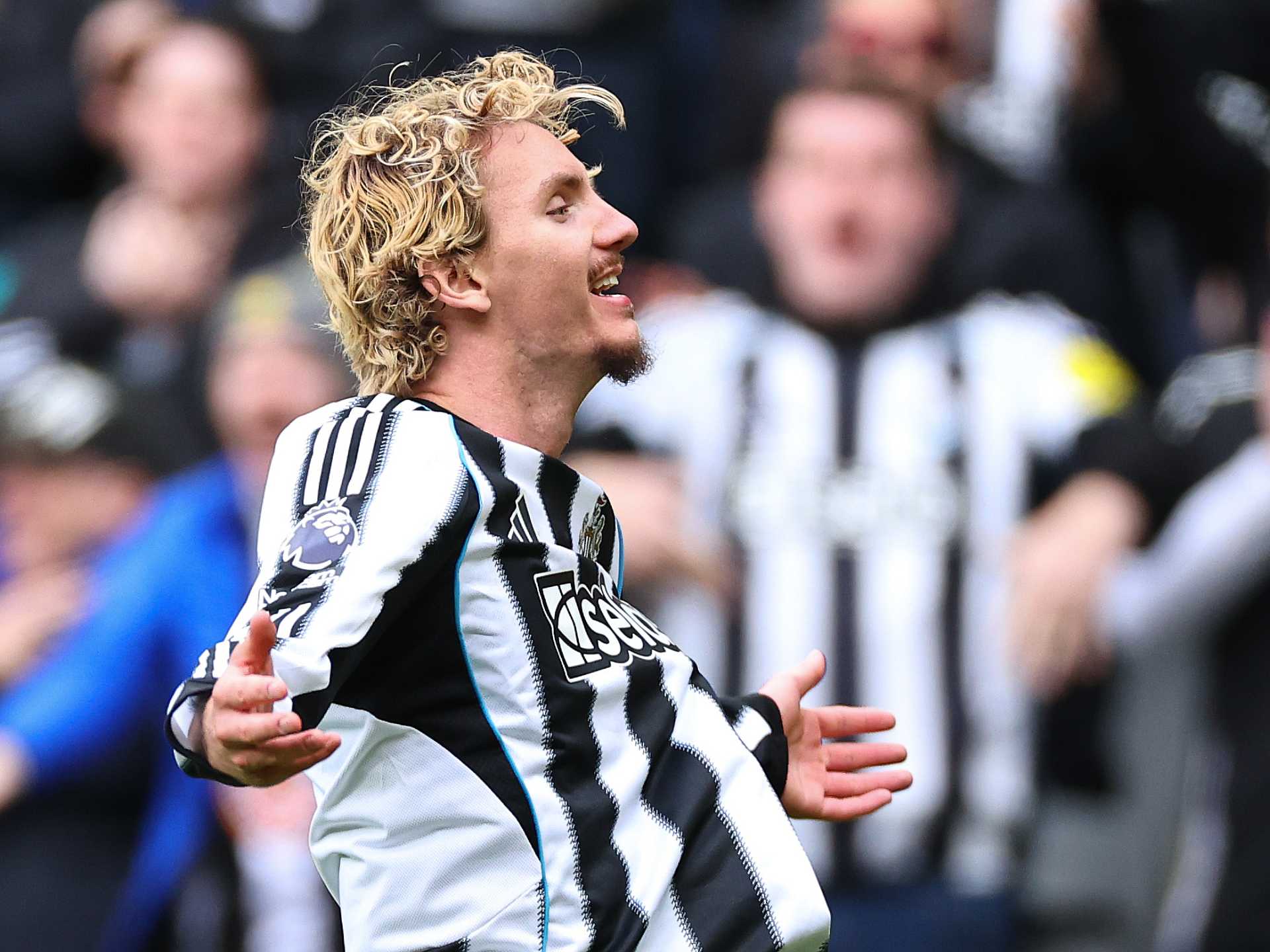 Nick Woltemade makes Newcastle history by joining legends Les Ferdinand and Alan Shearer in stunning feat