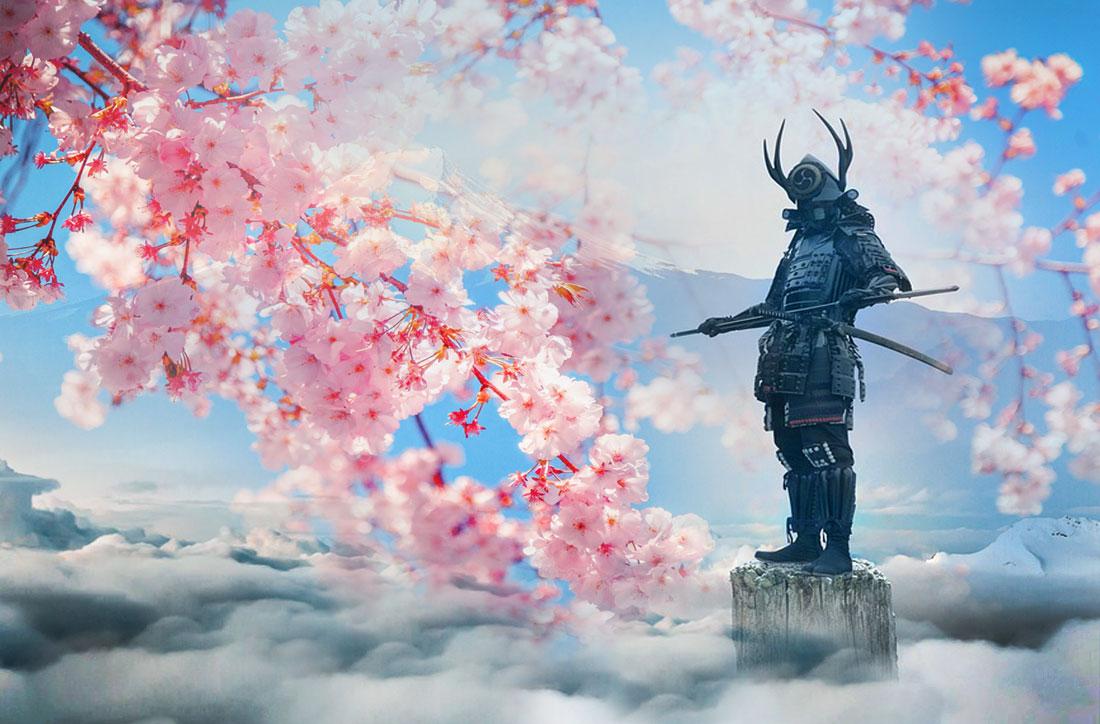 Samurai Cherry Blossom Wallpaper Free Samurai Cherry Blossom Background