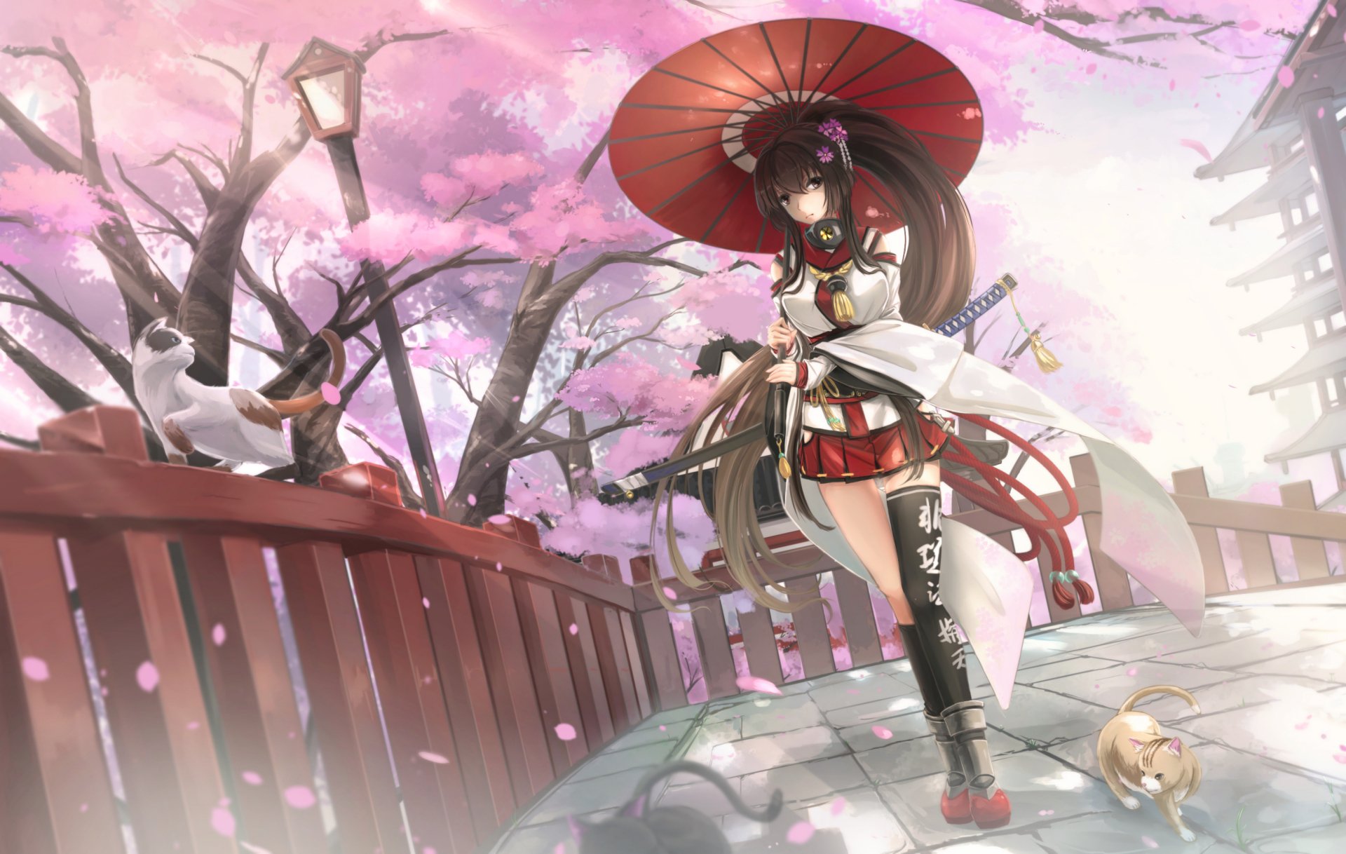 Sakura Samurai
