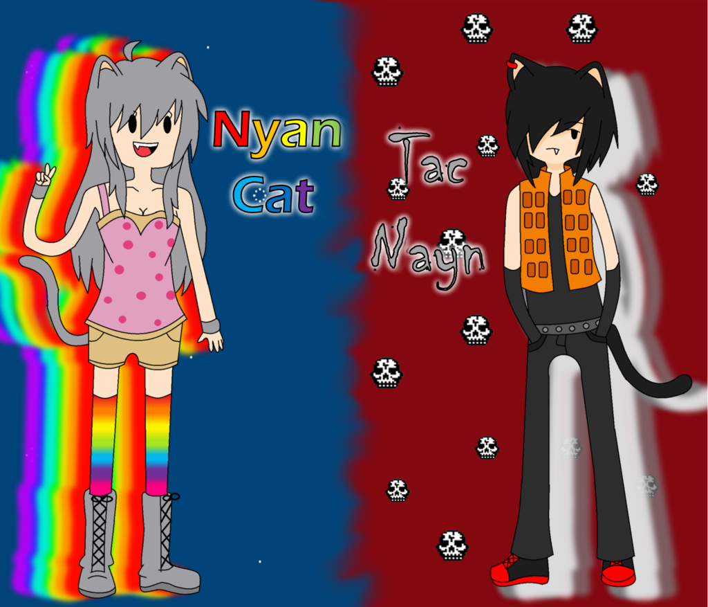 Nyan Cat And Tac Nayn Wallpaper