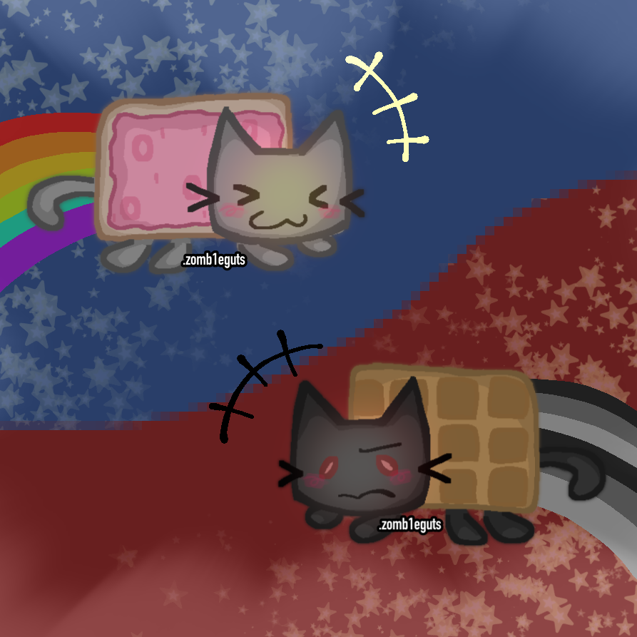 NYAN CAT AND TAC NAYN