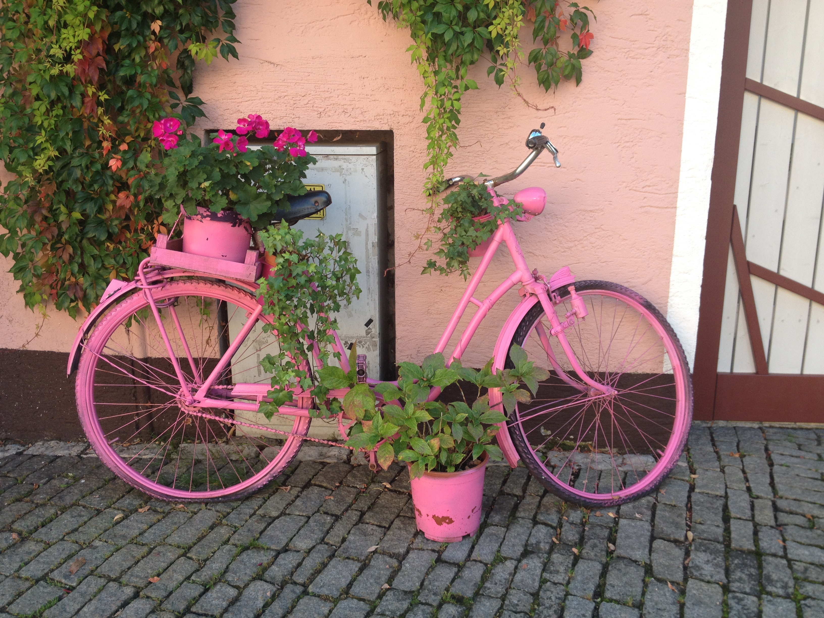Royalty Free Photo: Pink Bicycle Planter Stand Beside The Wall