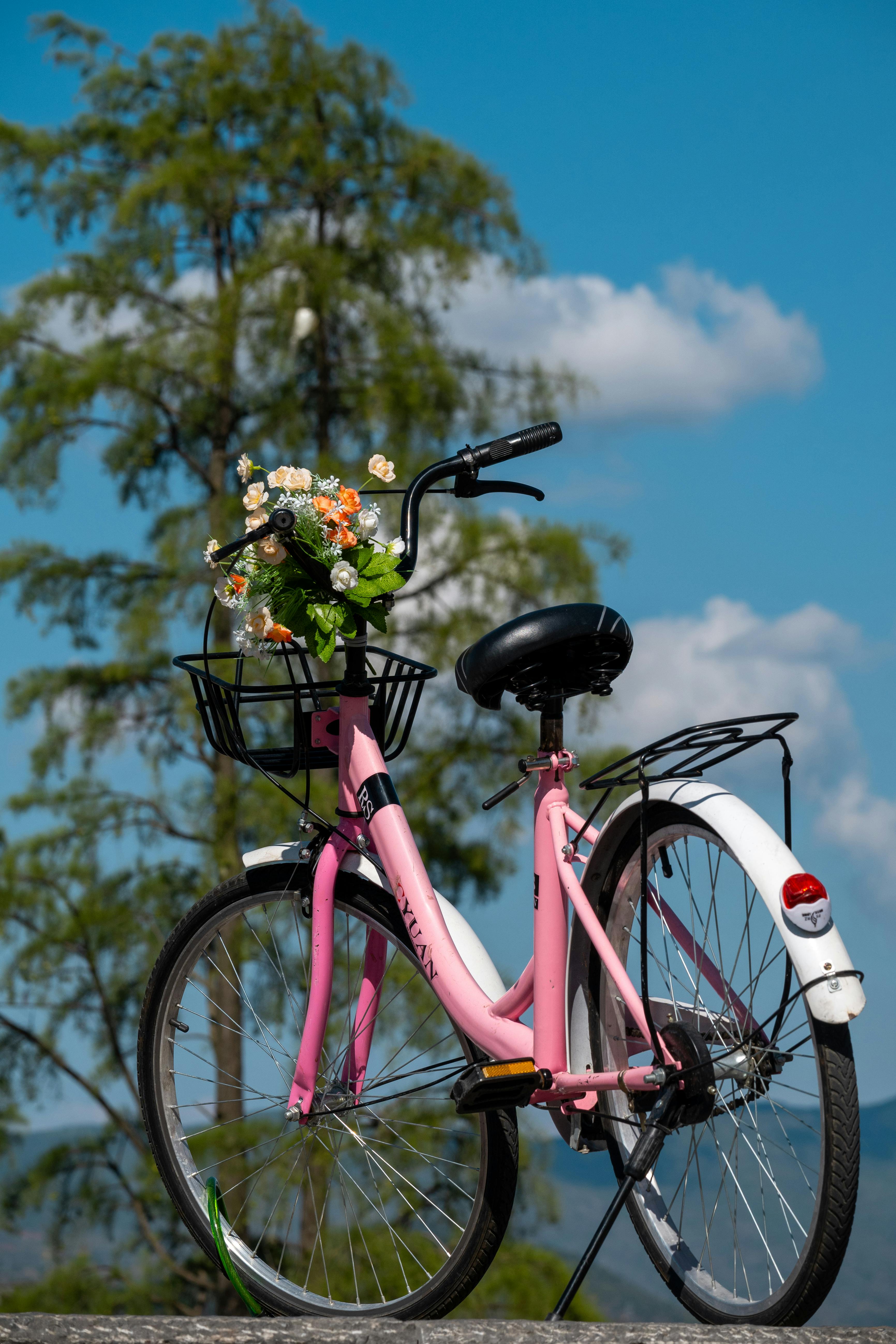 A Bouquet of Flowers Tied on a Bike · Free