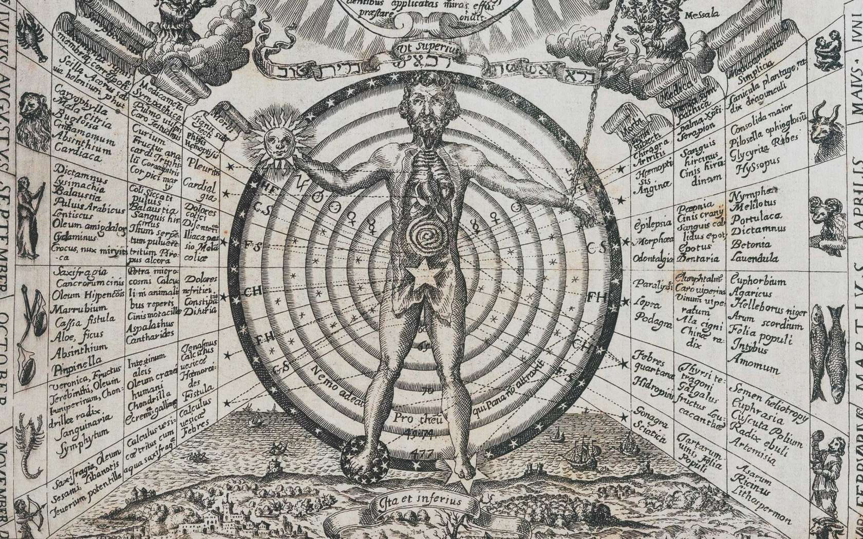 The polymath in the age of specialisation