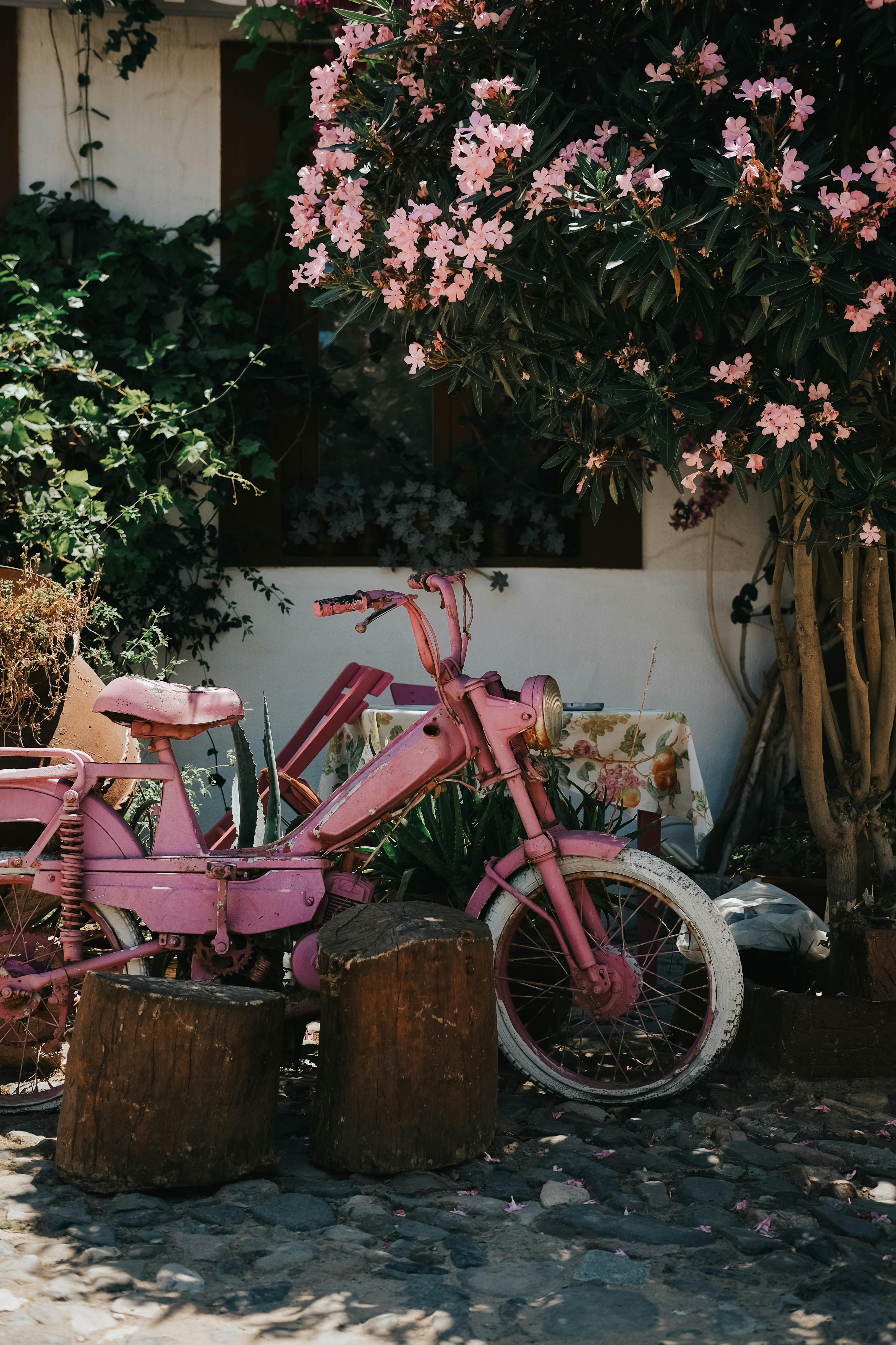 Pink Motorcycle in a Garden · Free