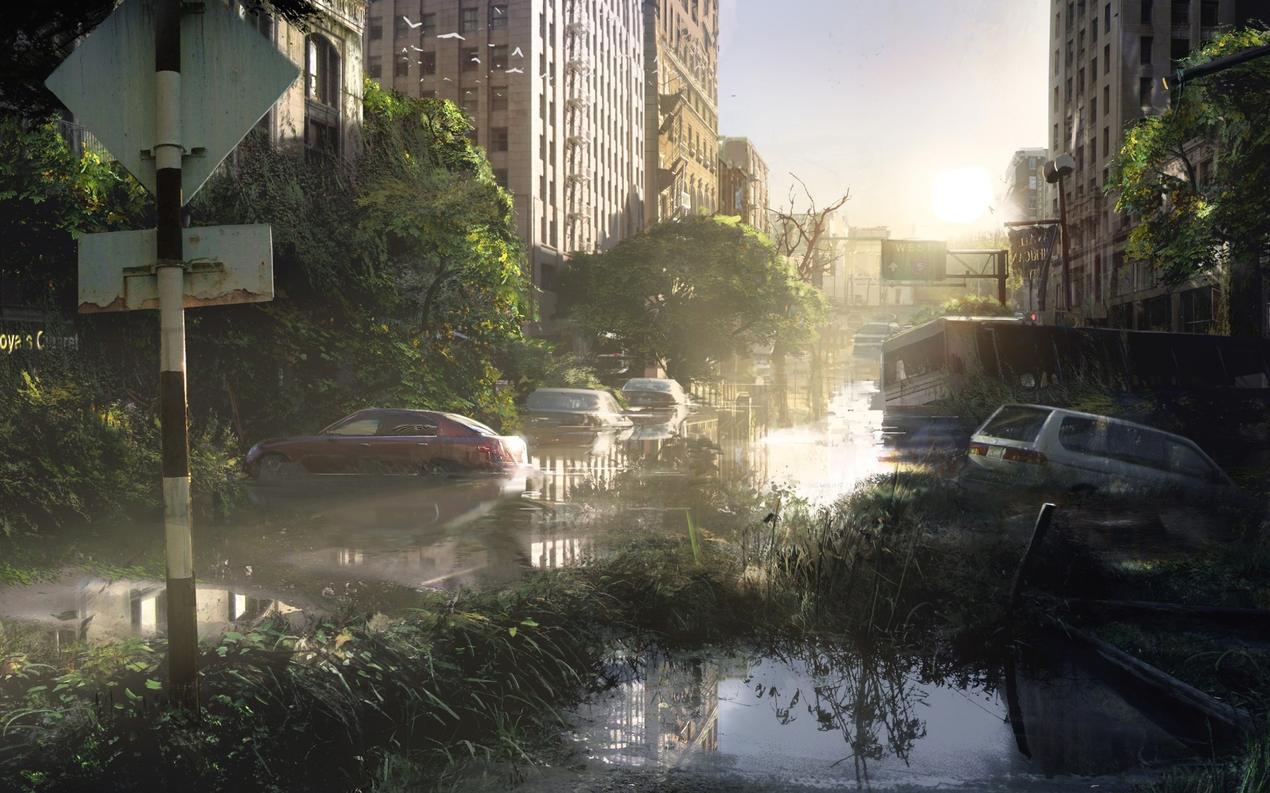 HD Wallpaper: The Last Of Us