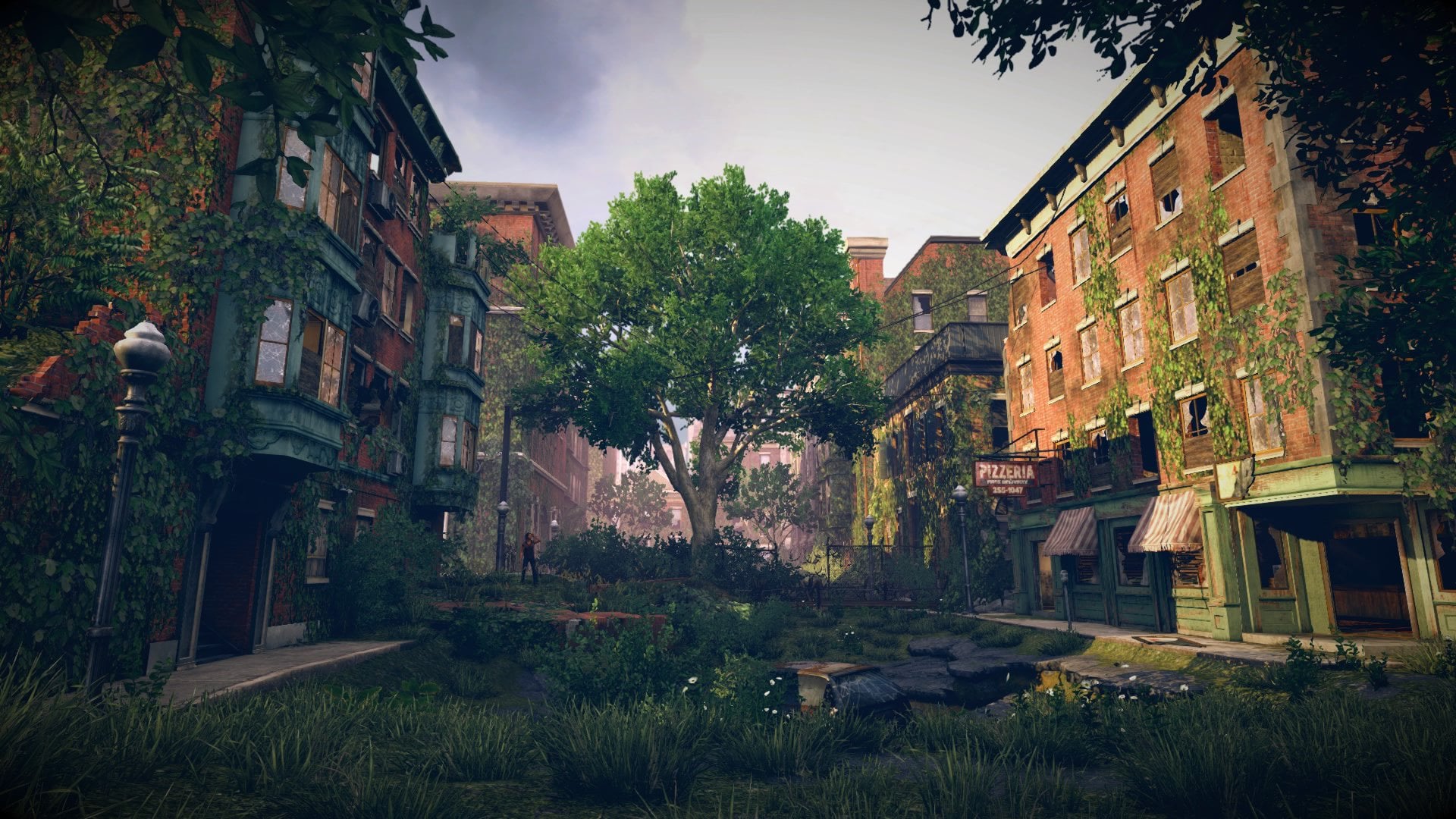 Screenshot The Last of Us Landscape